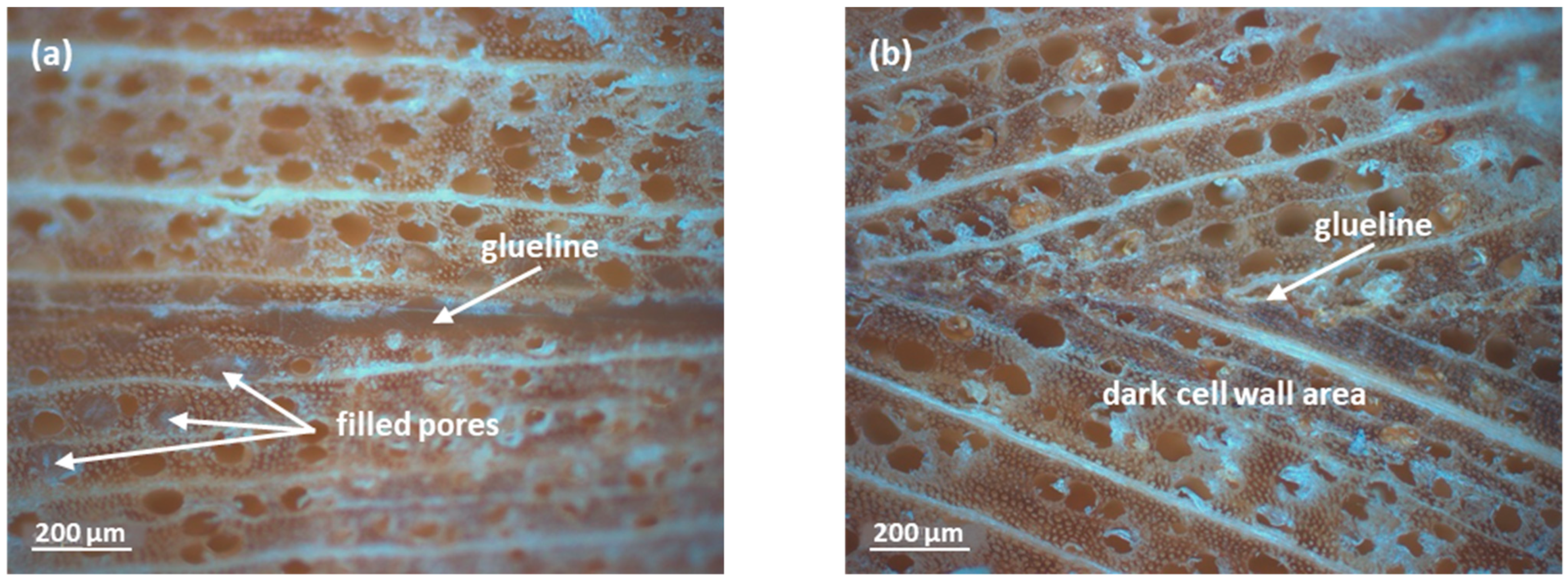 Polymers 14 00259 g006