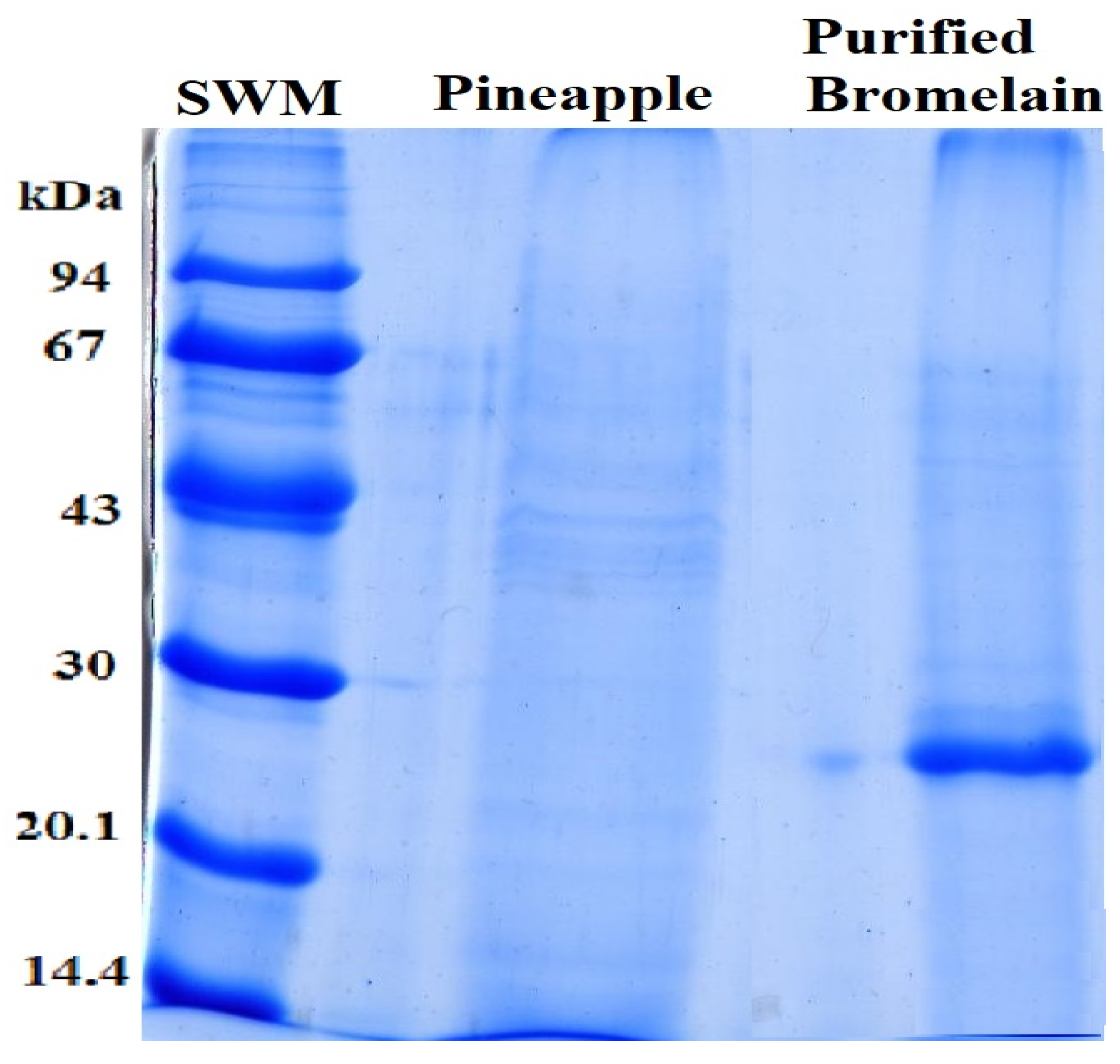 Polymers 14 00264 g007 Polymers 14 00264 g007