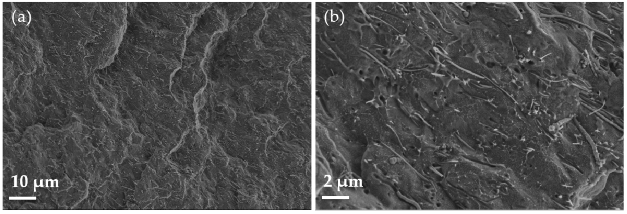 Polymers 14 00269 g002 Polymers 14 00269 g002