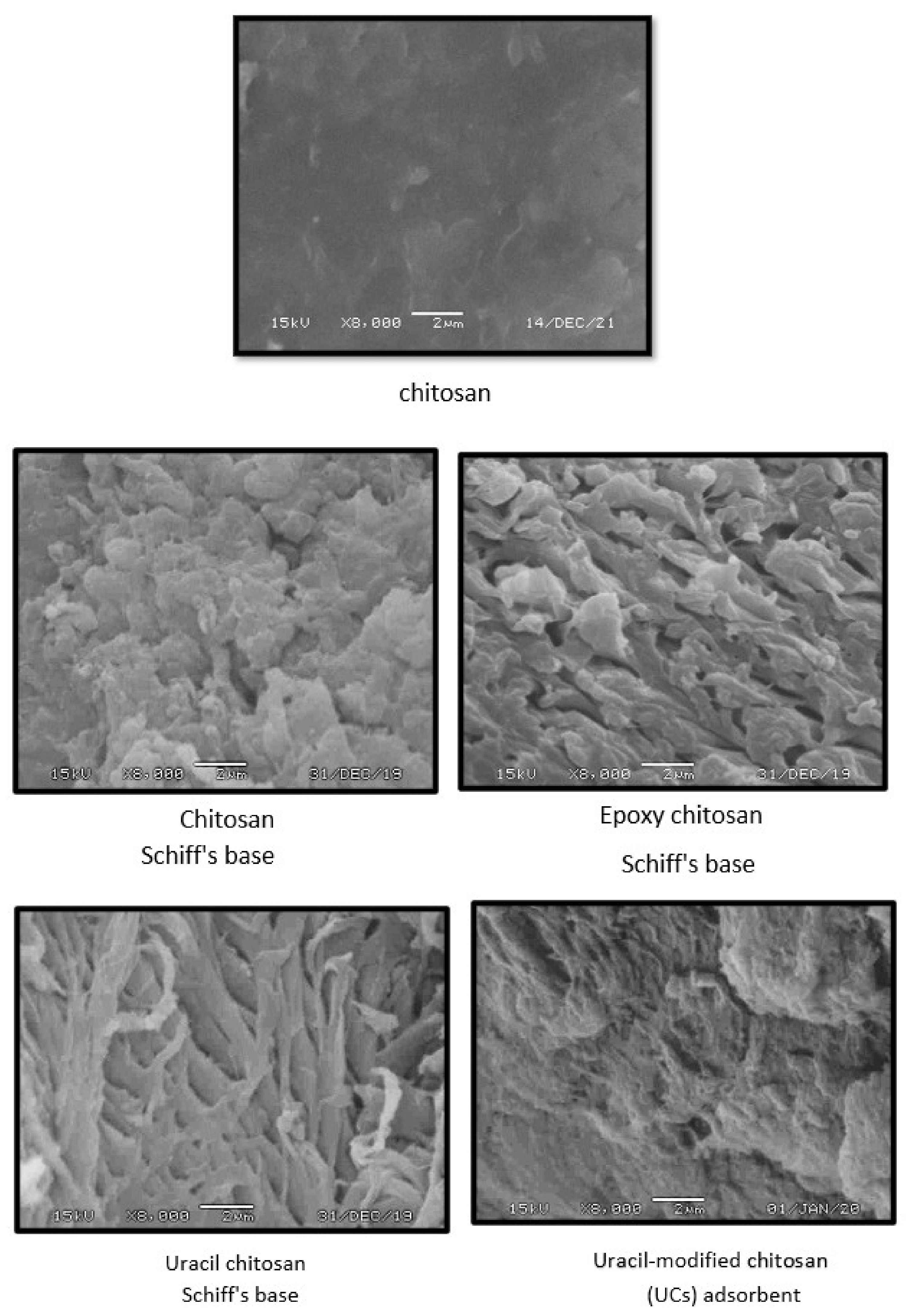 Polymers 14 00271 g004