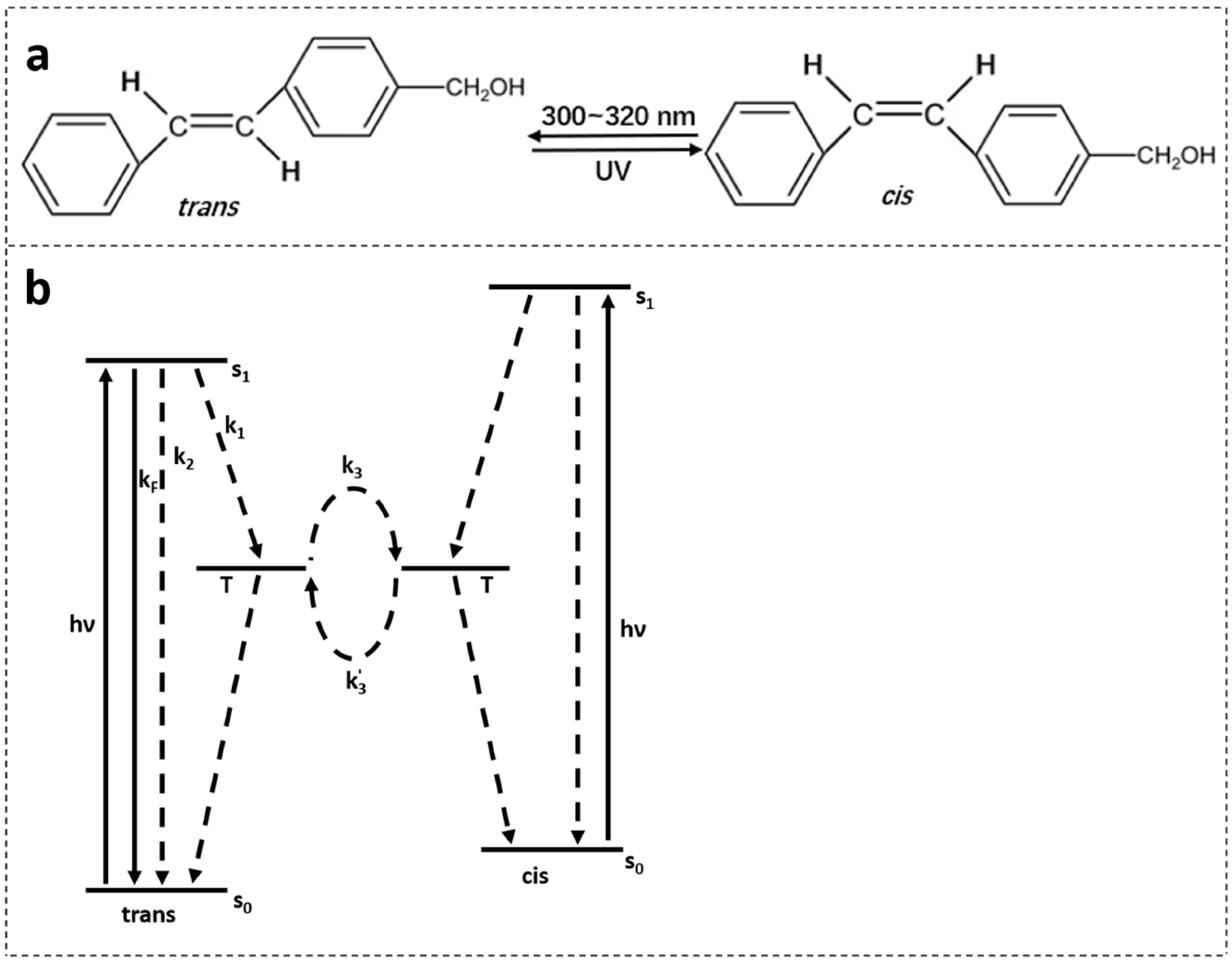 Polymers 14 00273 g003 550