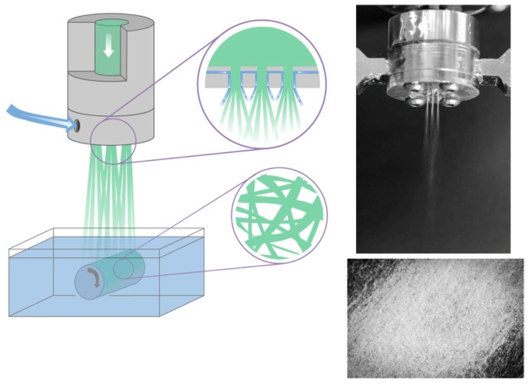 Polymers 14 00286 g007