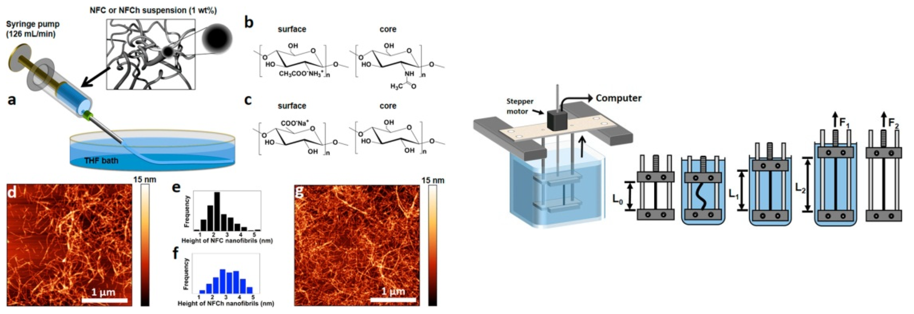 Polymers 14 00286 g009