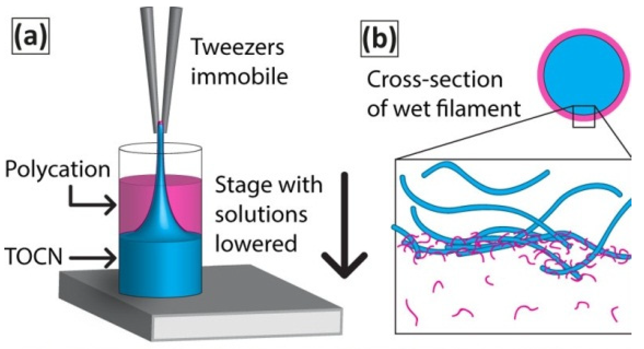 Polymers 14 00286 g012