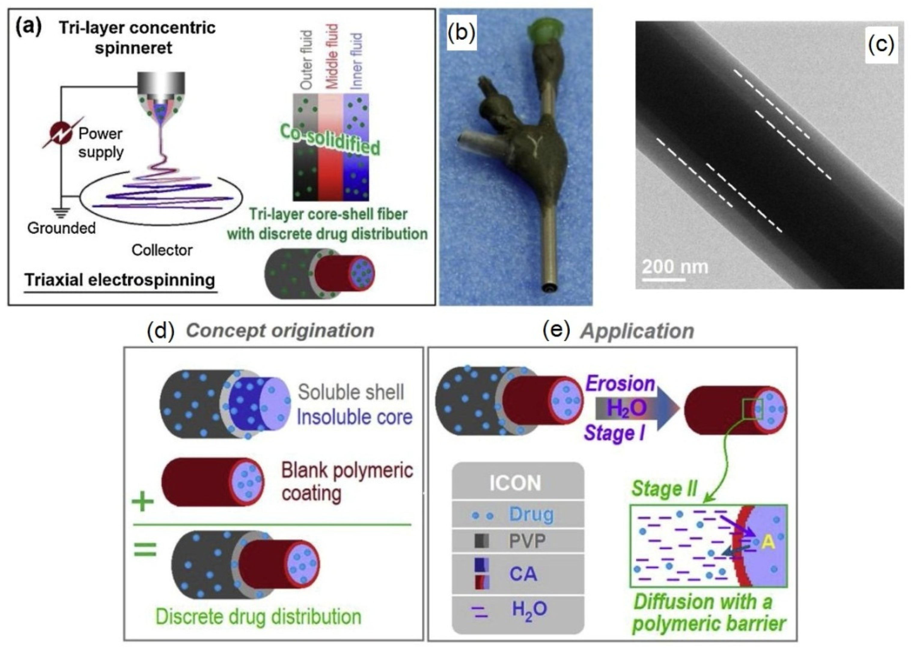 Polymers 14 00286 g013