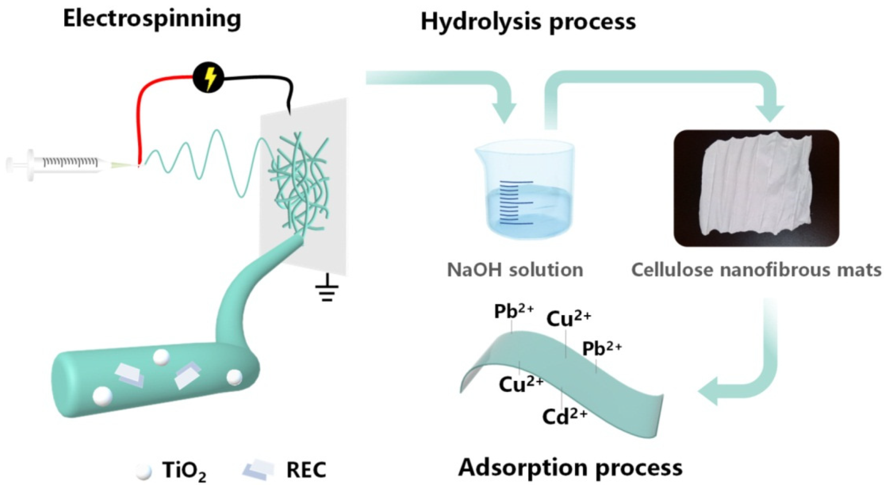 Polymers 14 00286 g014