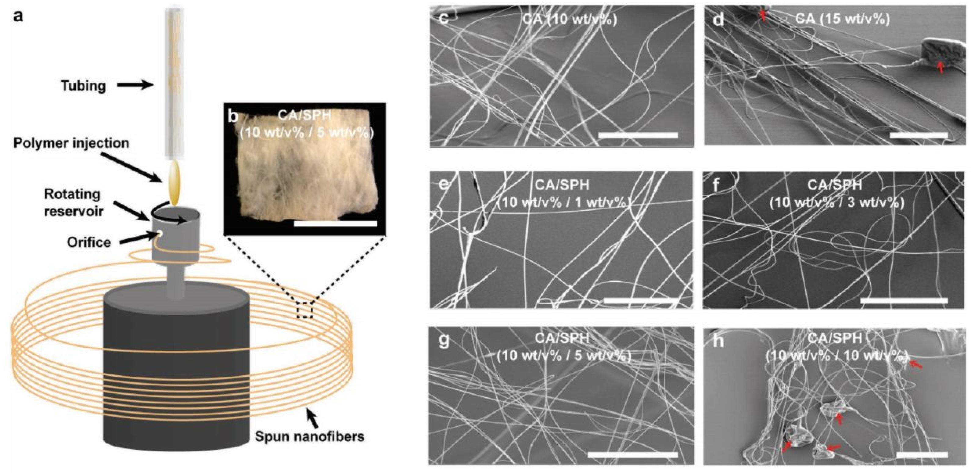 Polymers 14 00286 g015
