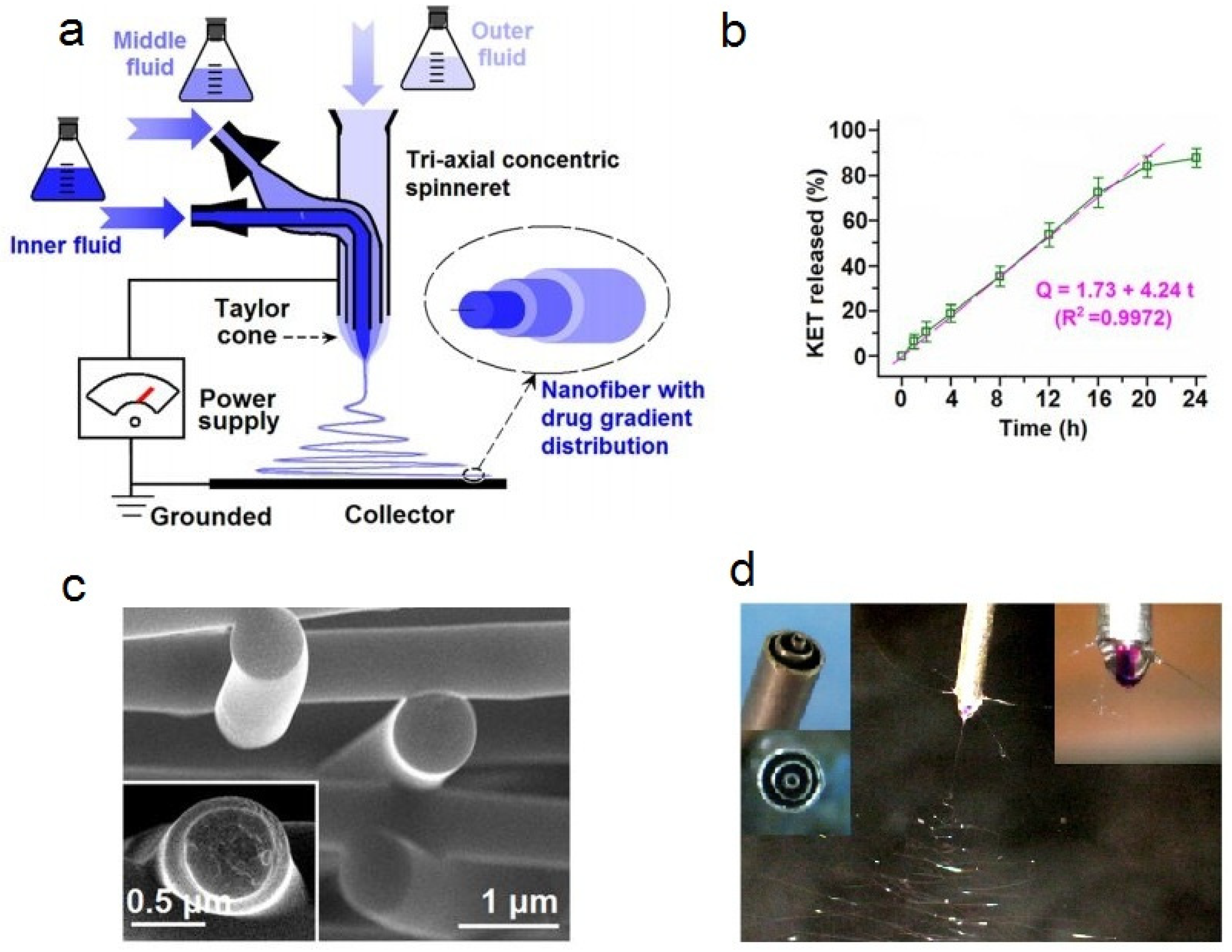 Polymers 14 00286 g017