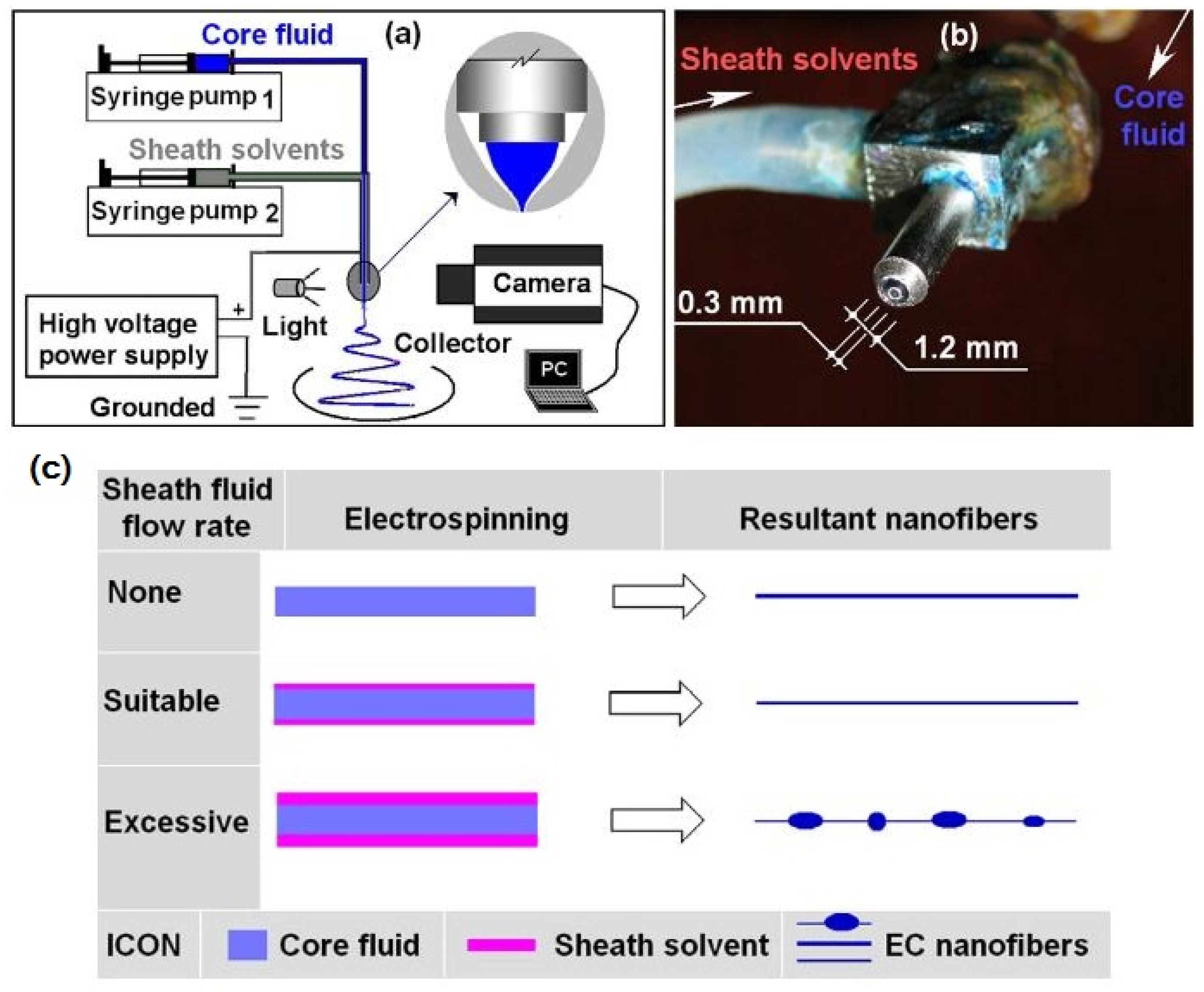 Polymers 14 00286 g018