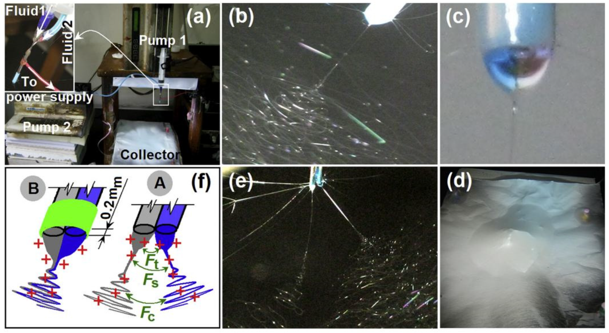 Polymers 14 00286 g019