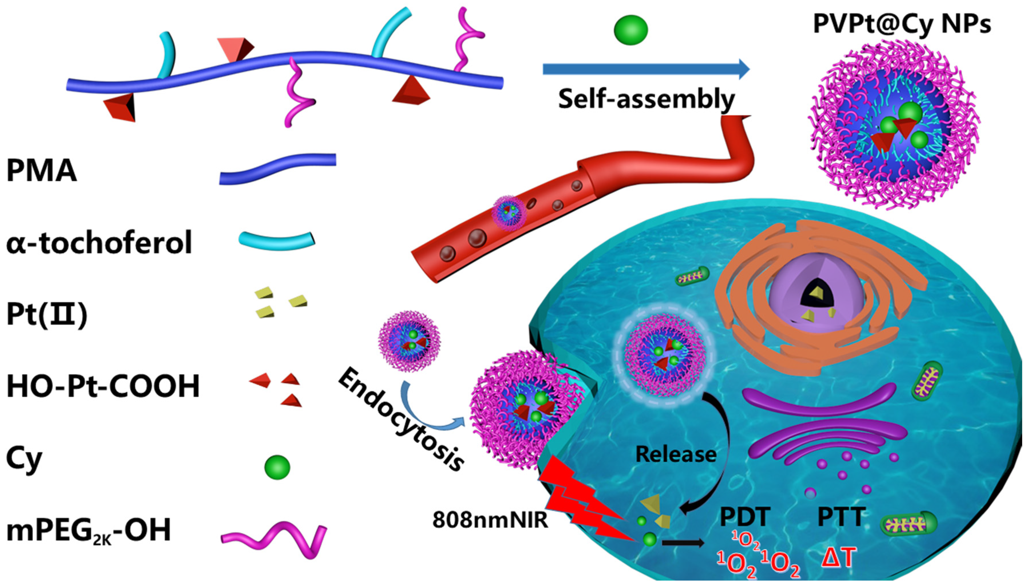 Polymers 14 00287 sch001