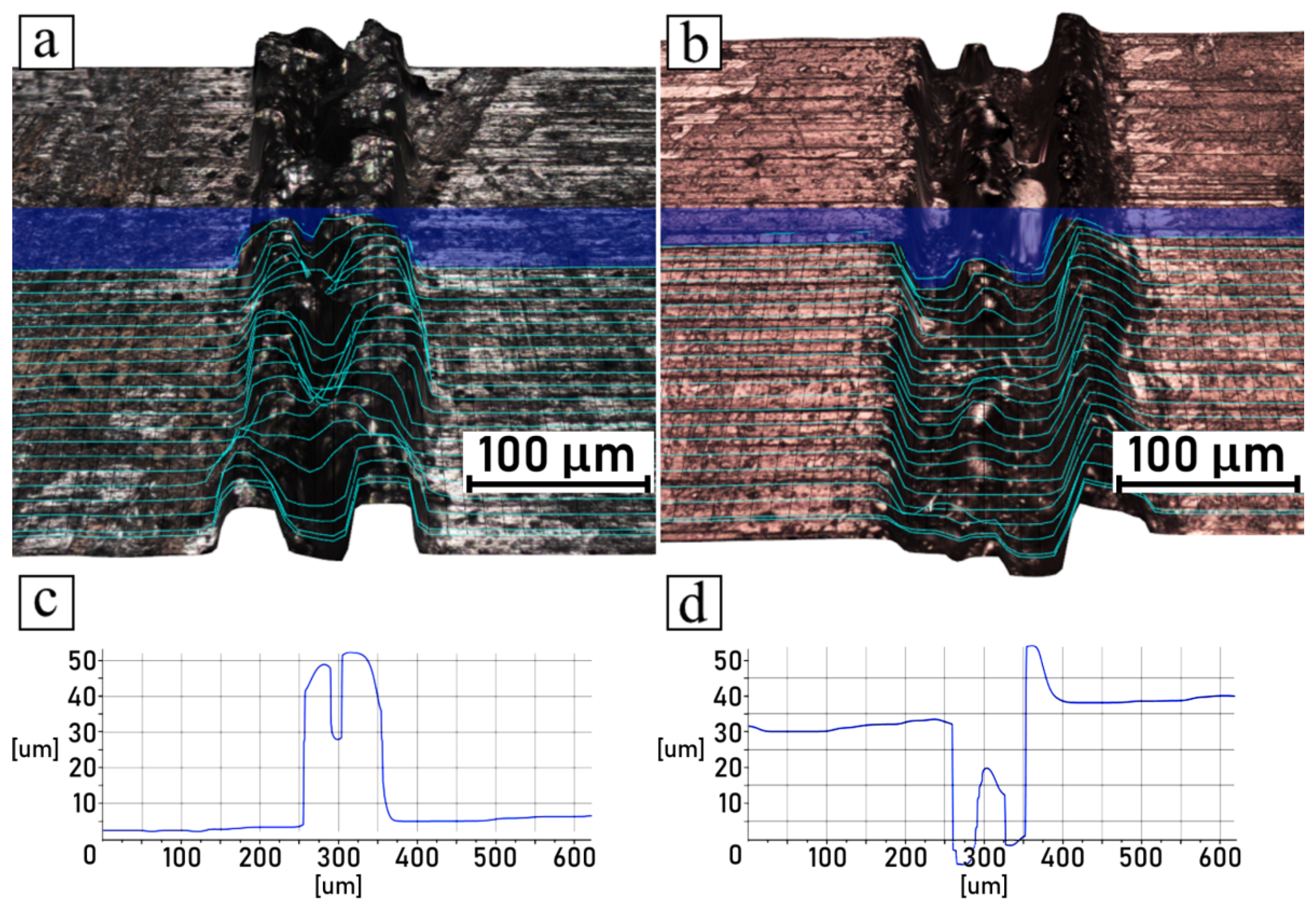 Polymers 14 00288 g010