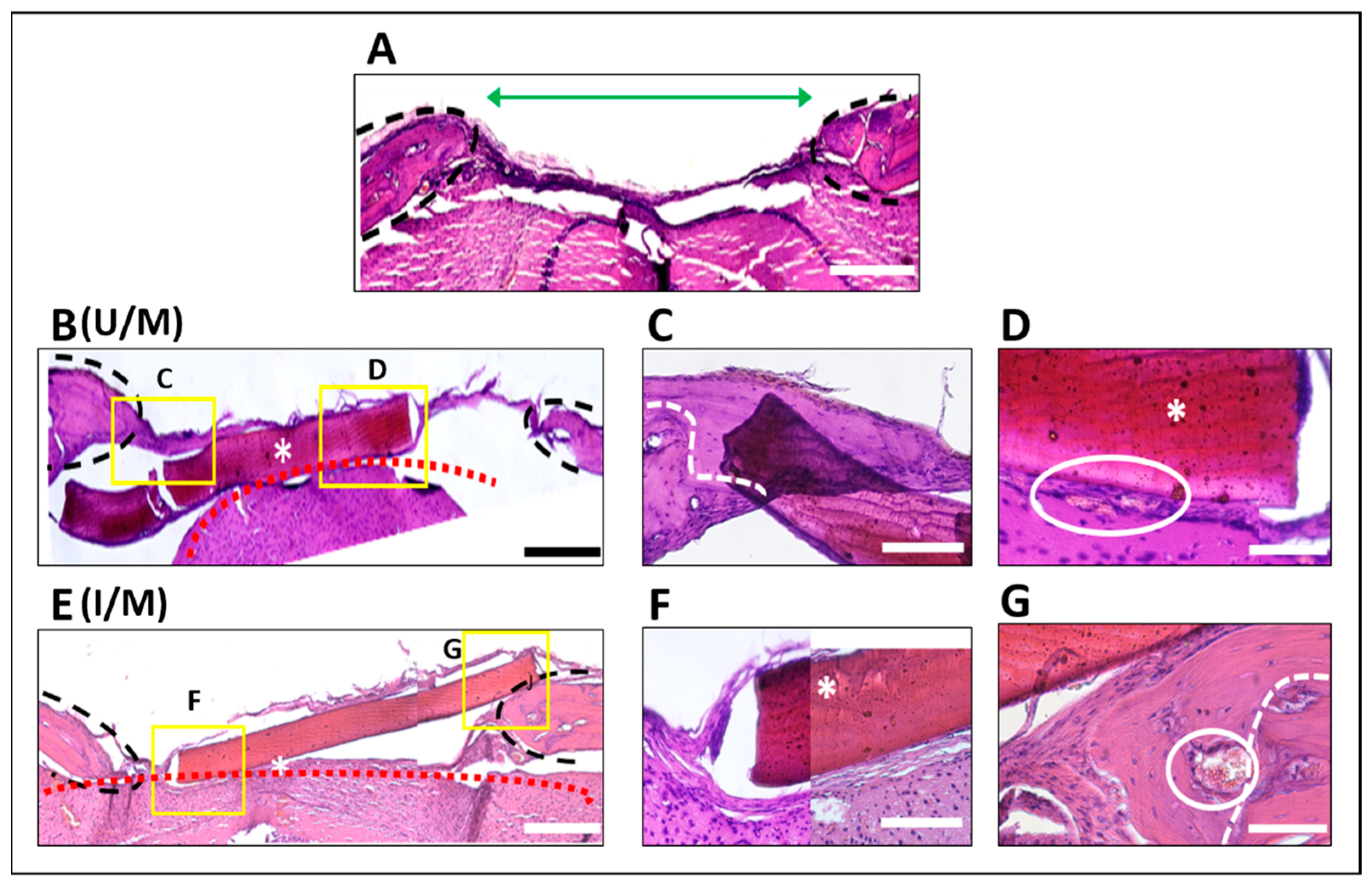 Polymers 14 00289 g003 550
