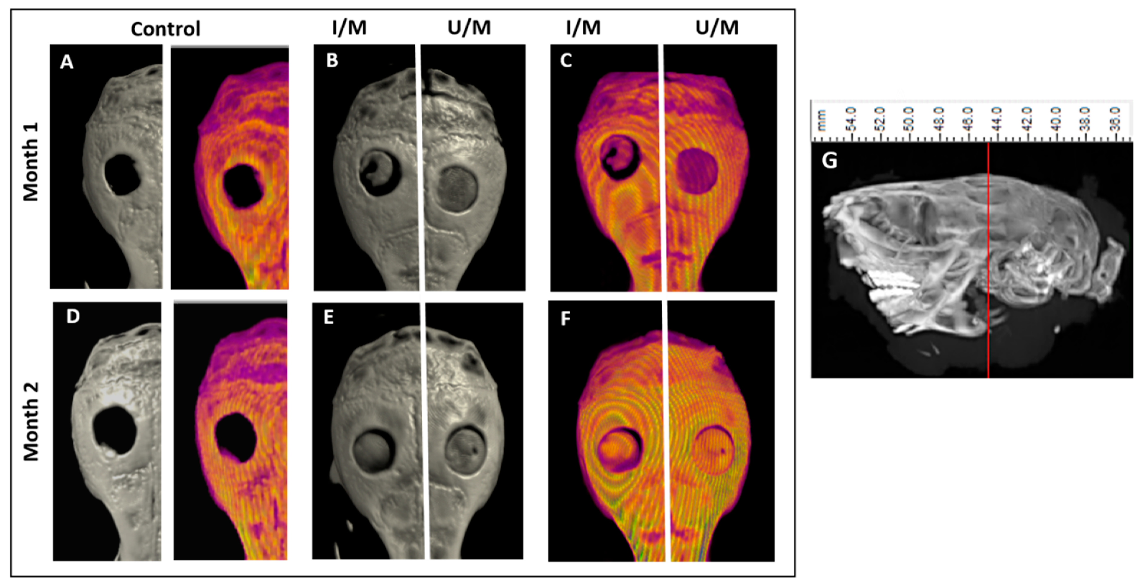 Polymers 14 00289 g004 550