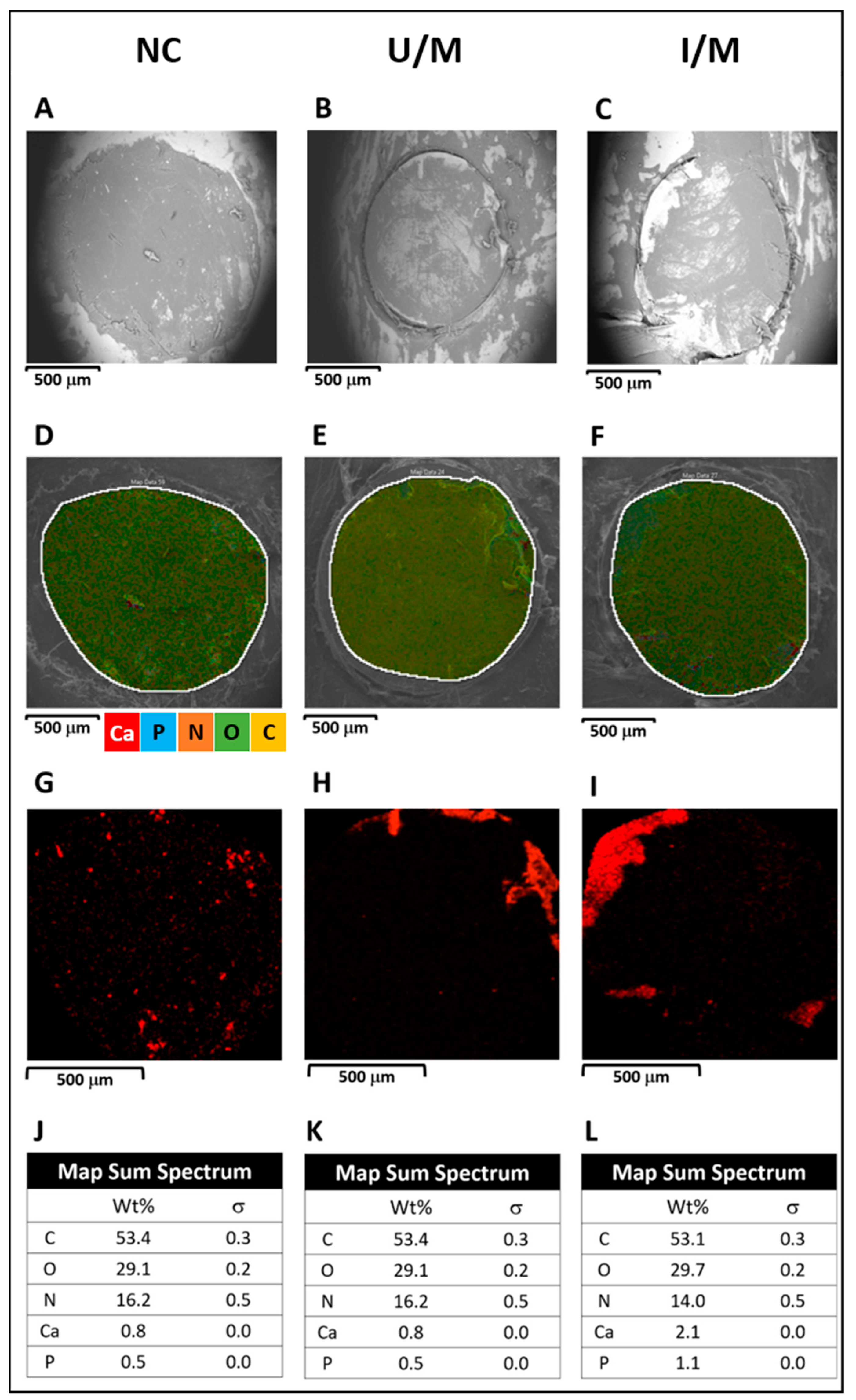 Polymers 14 00289 g005 550