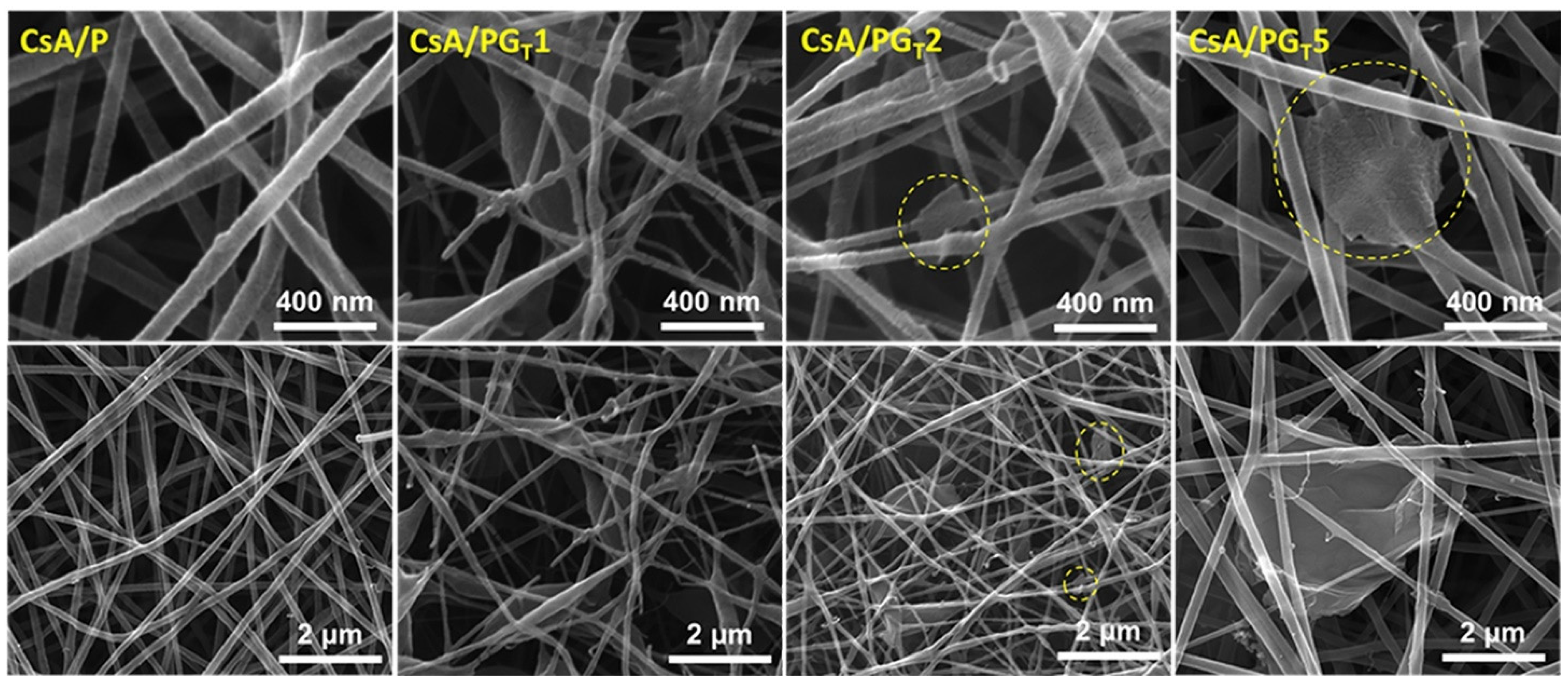 Polymers 14 00294 g006 550