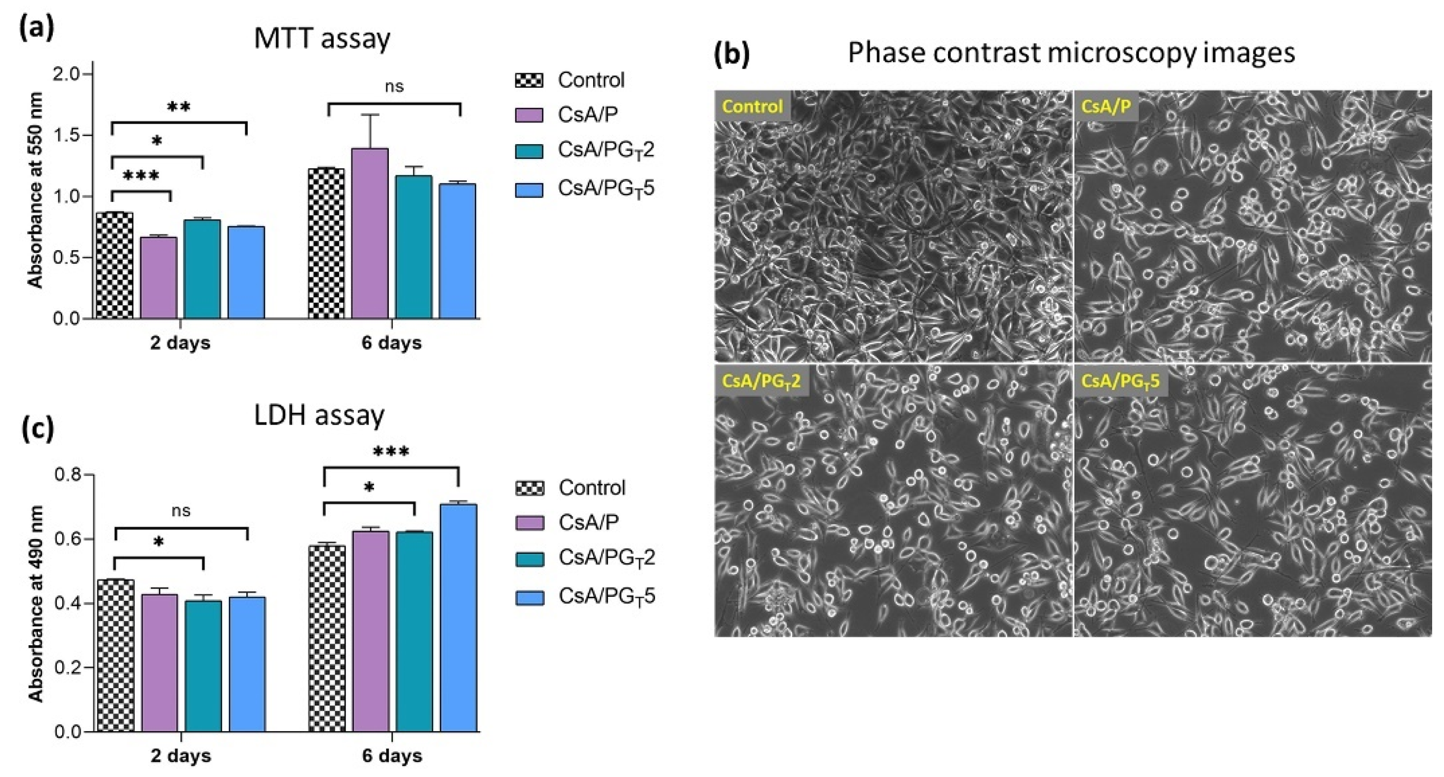 Polymers 14 00294 g008 550