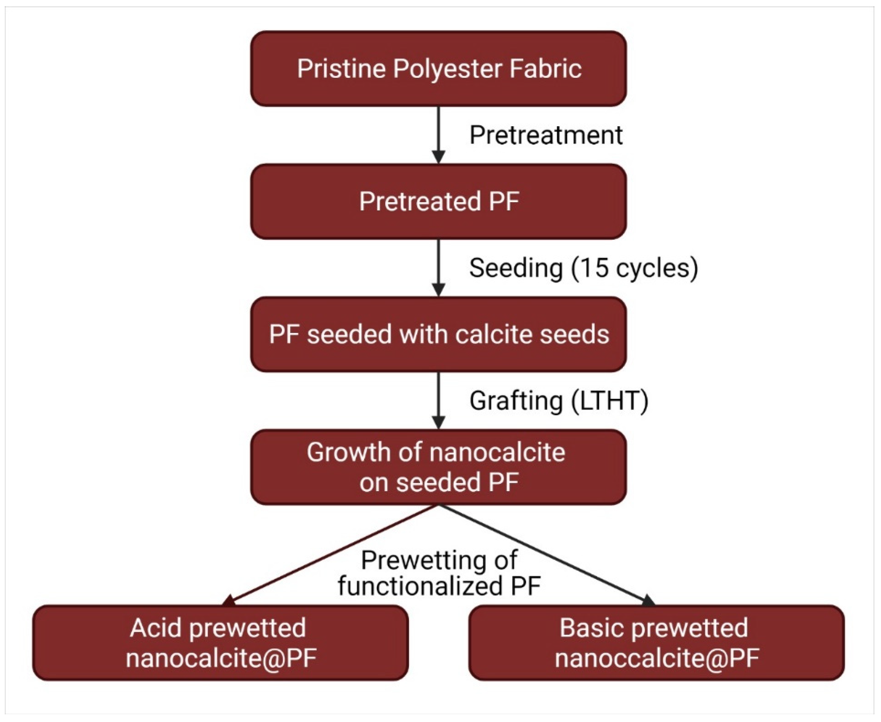 Polymers 14 00295 g001