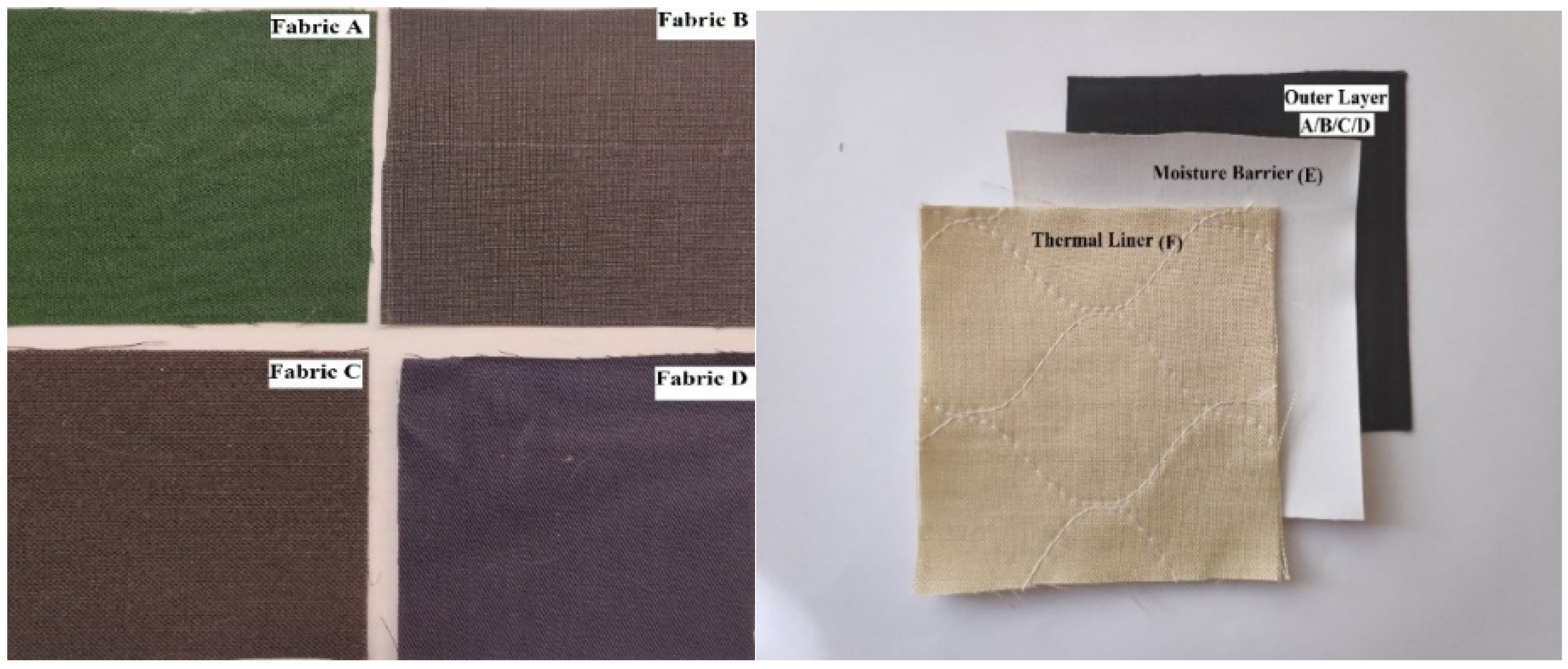 Polymers 14 00296 g001