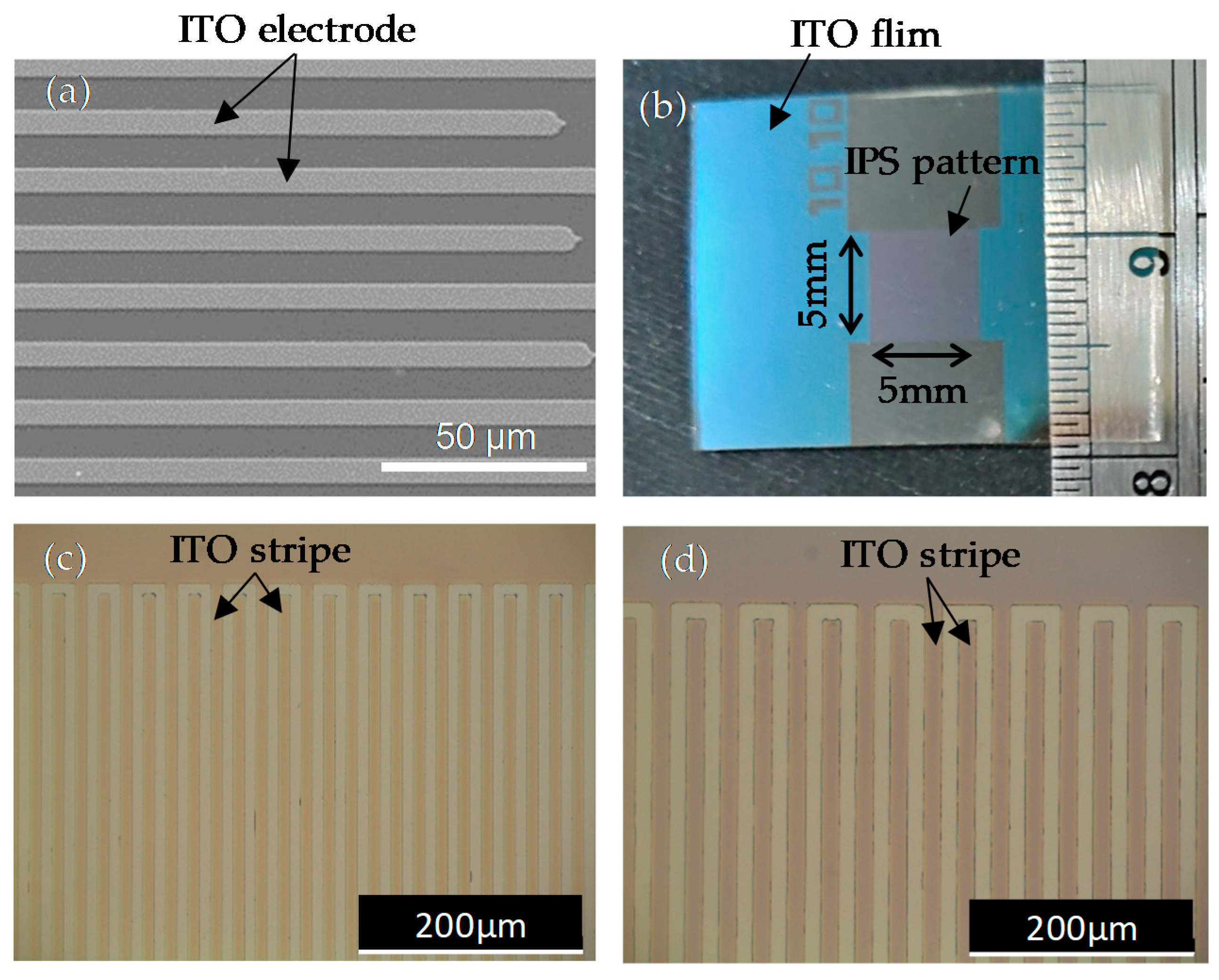 Polymers 14 00297 g001 550