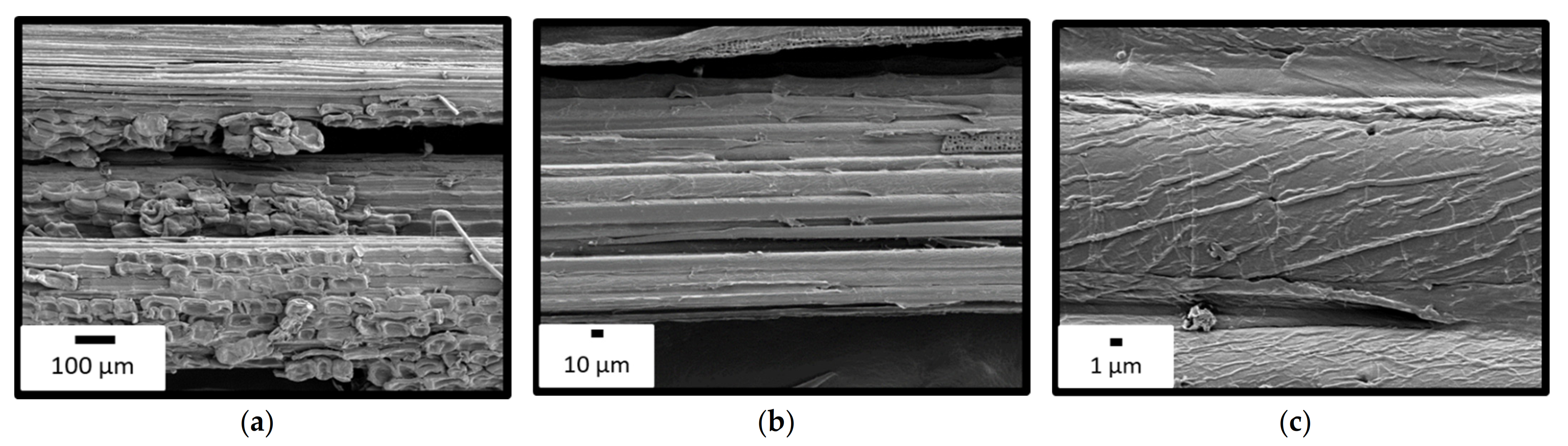 Polymers 14 00299 g001