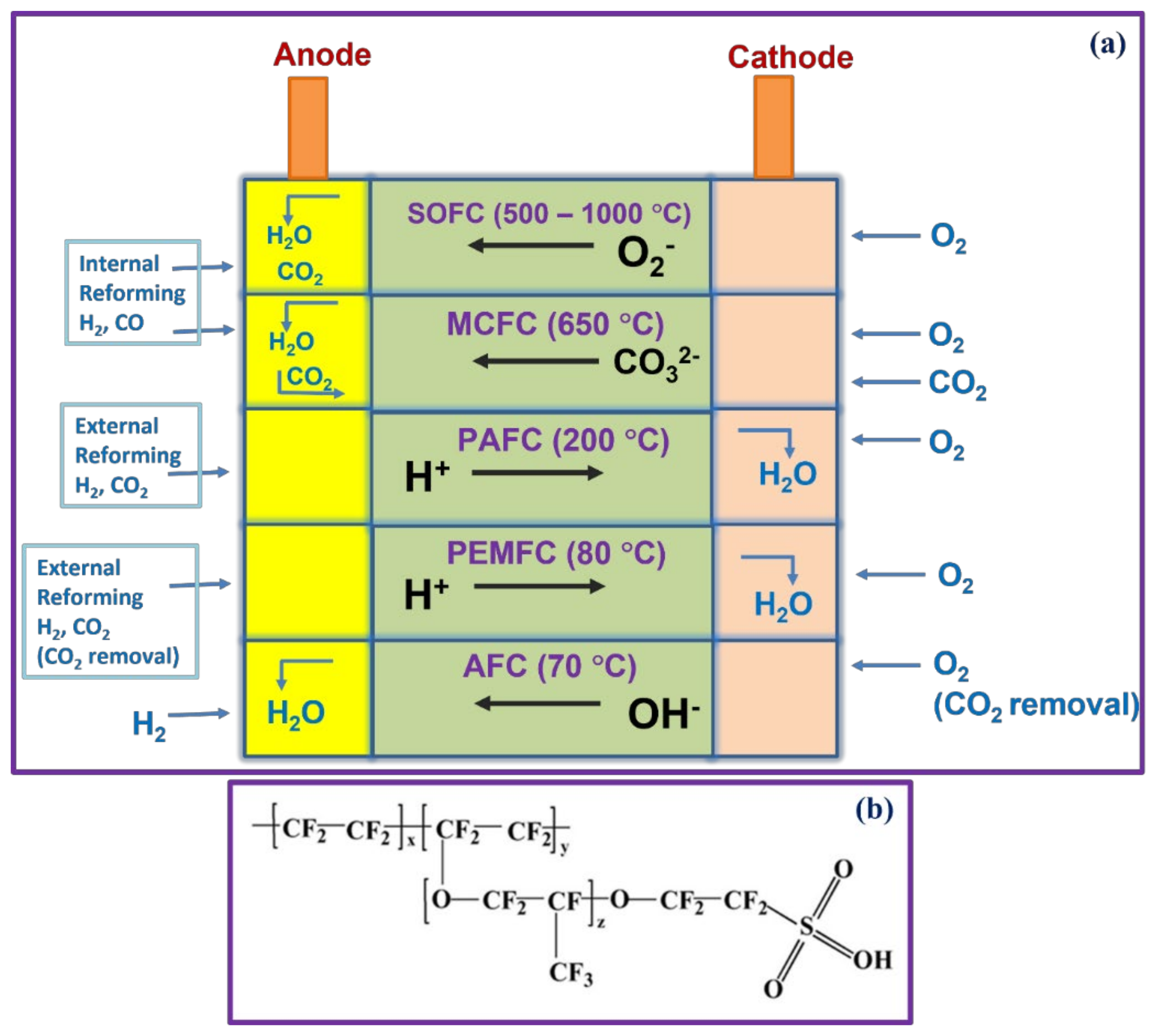 Polymers 14 00300 g001