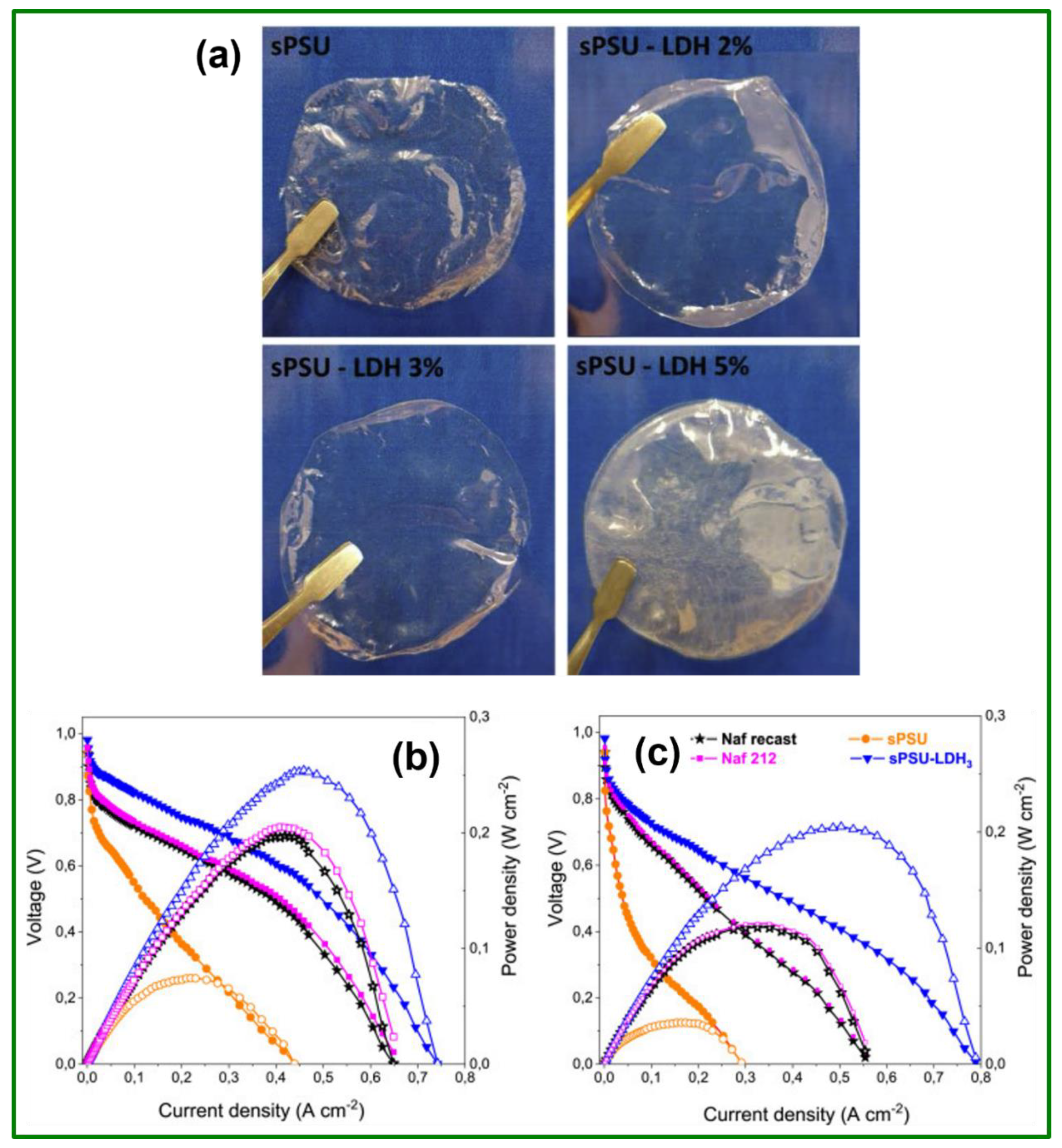 Polymers 14 00300 g006