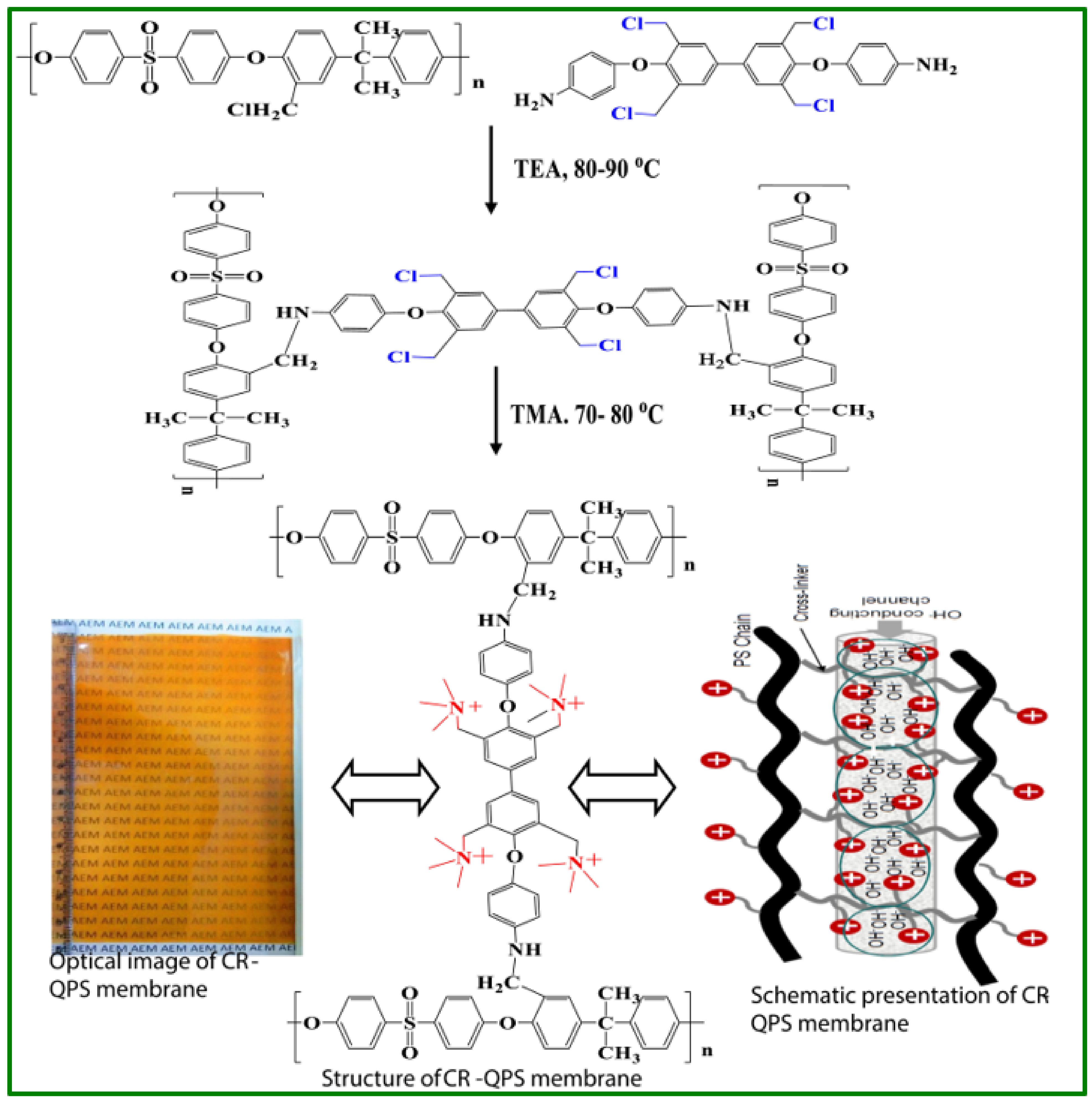 Polymers 14 00300 g008