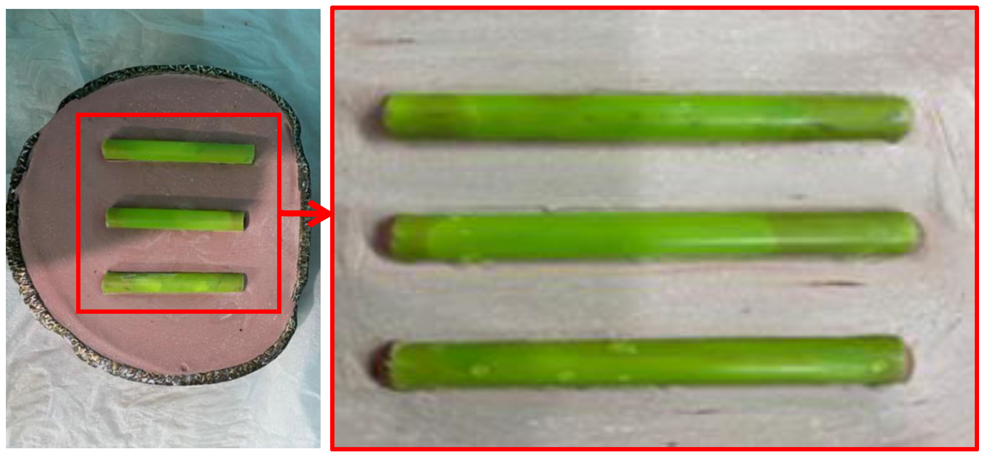 Polymers 14 00302 g002
