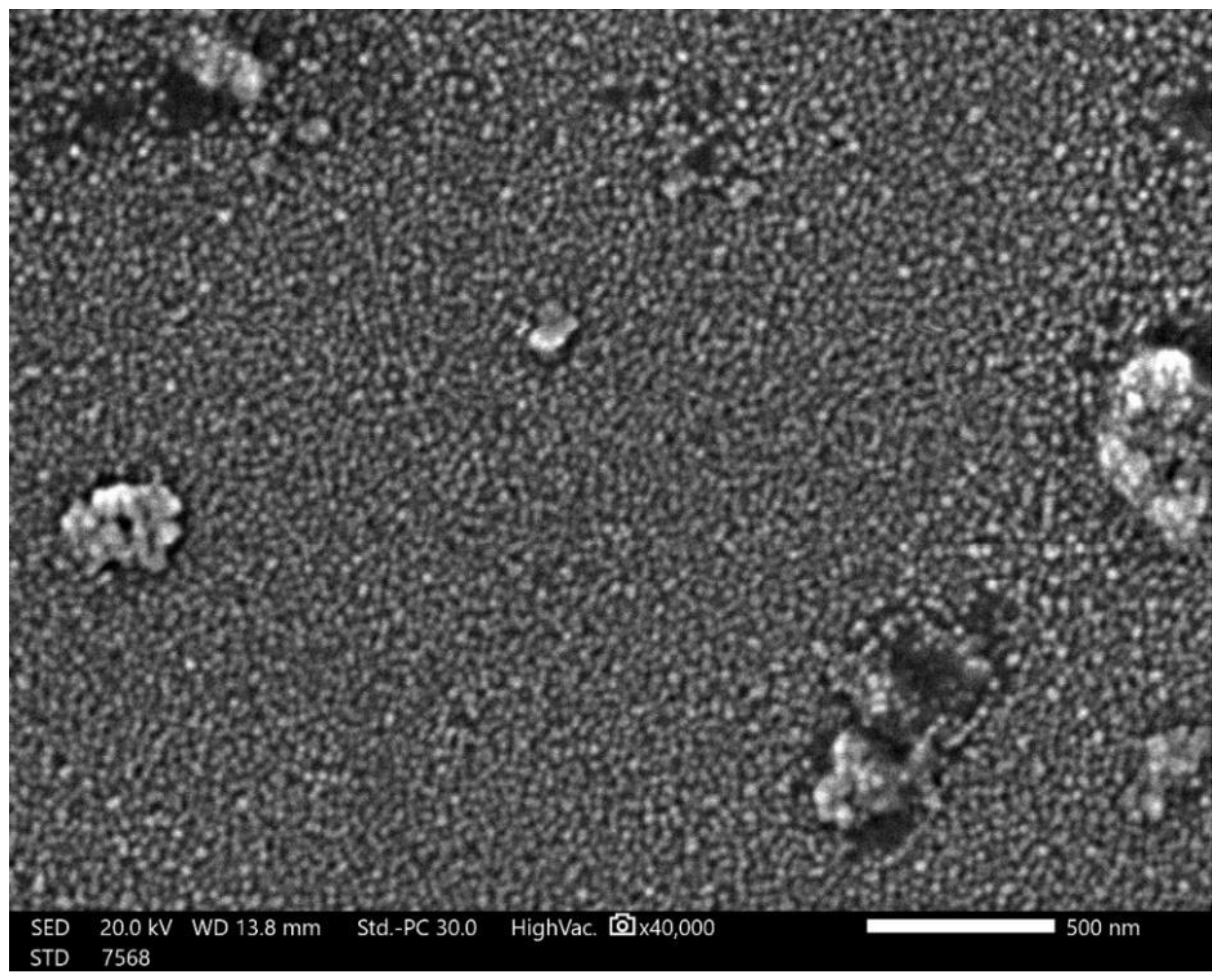 Polymers 14 00302 g005