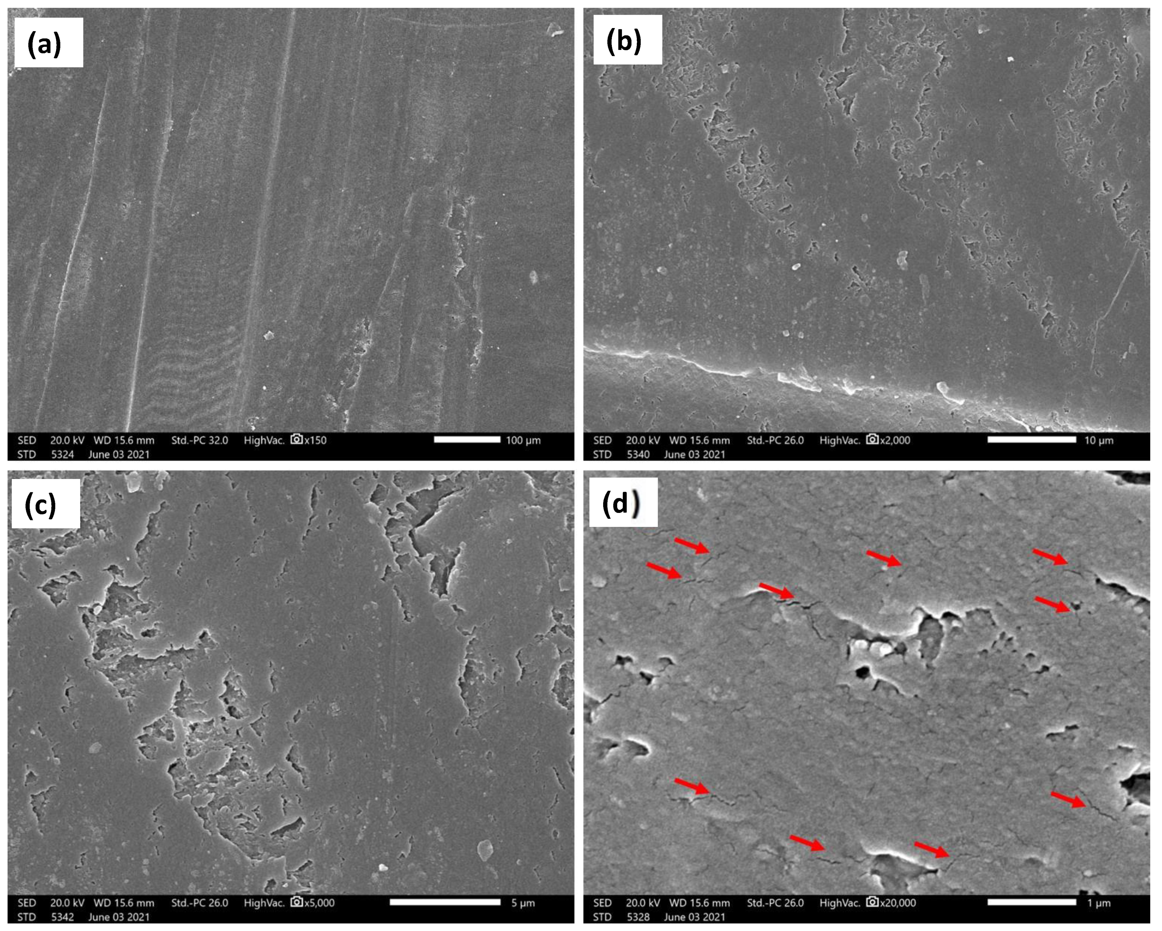 Polymers 14 00302 g012