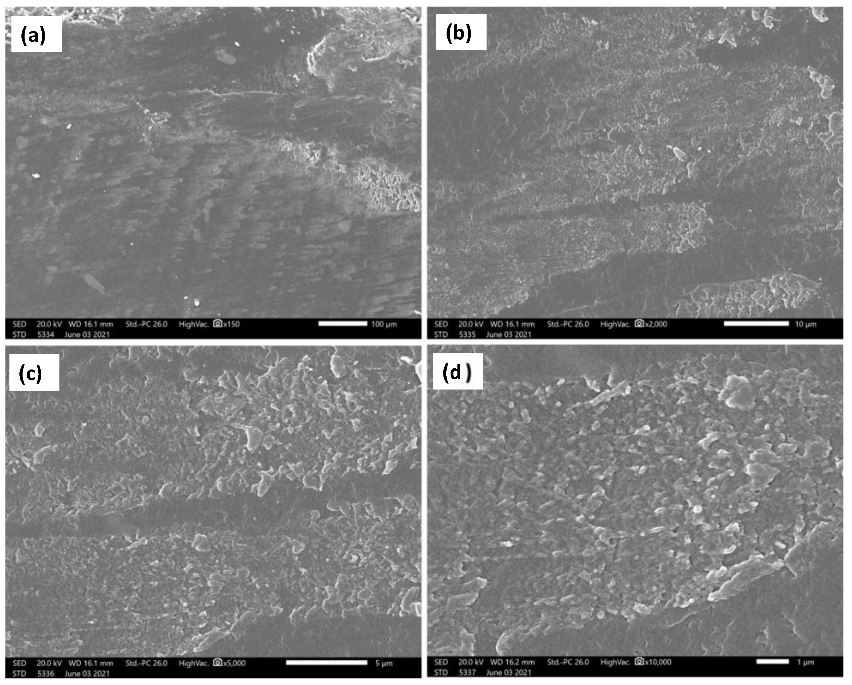 Polymers 14 00302 g014