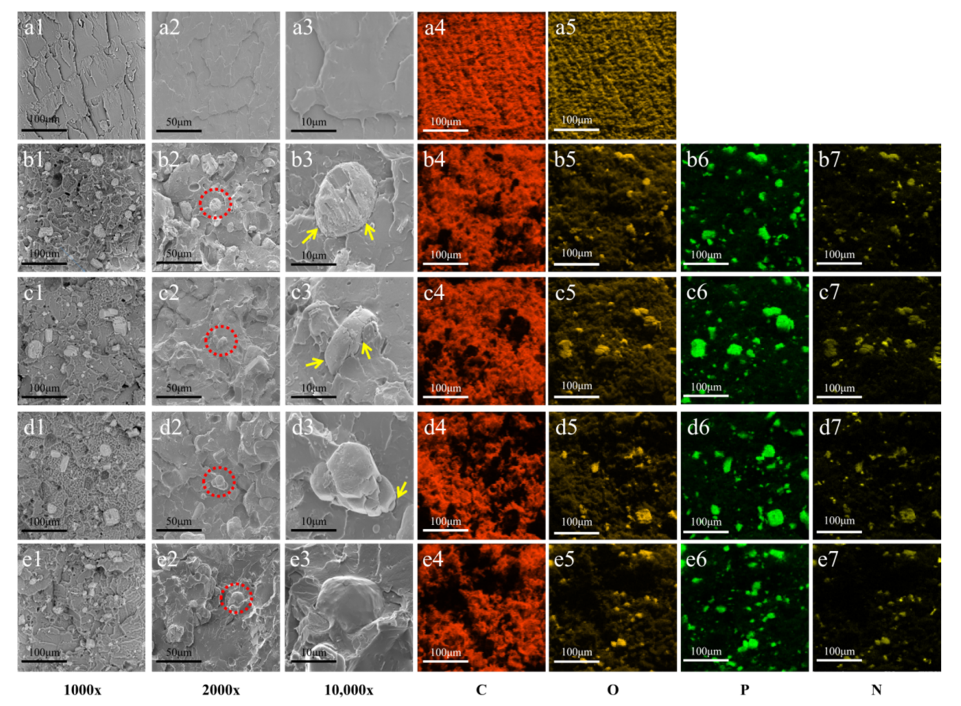 Polymers 14 00308 g003