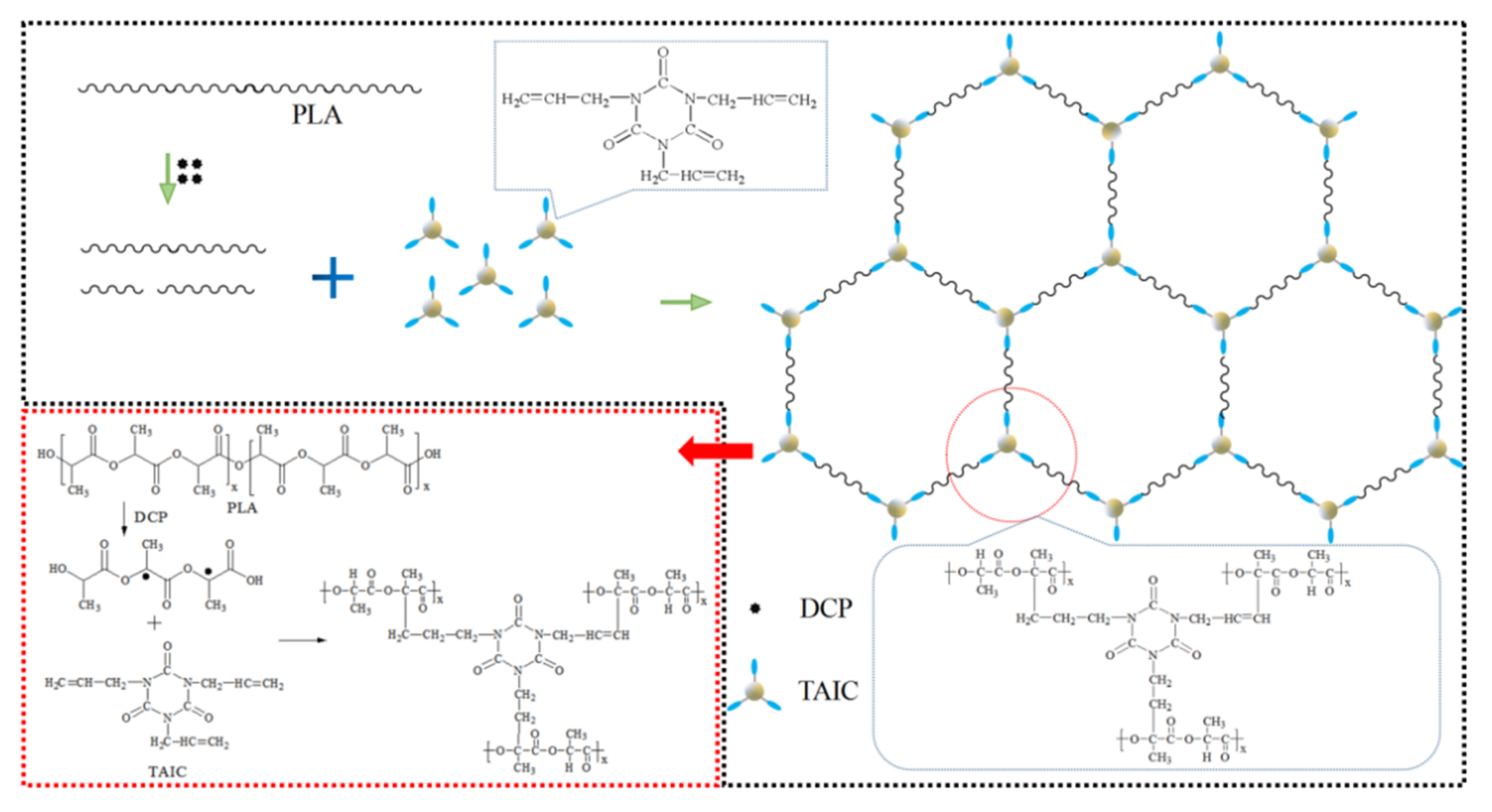 Polymers 14 00308 g008