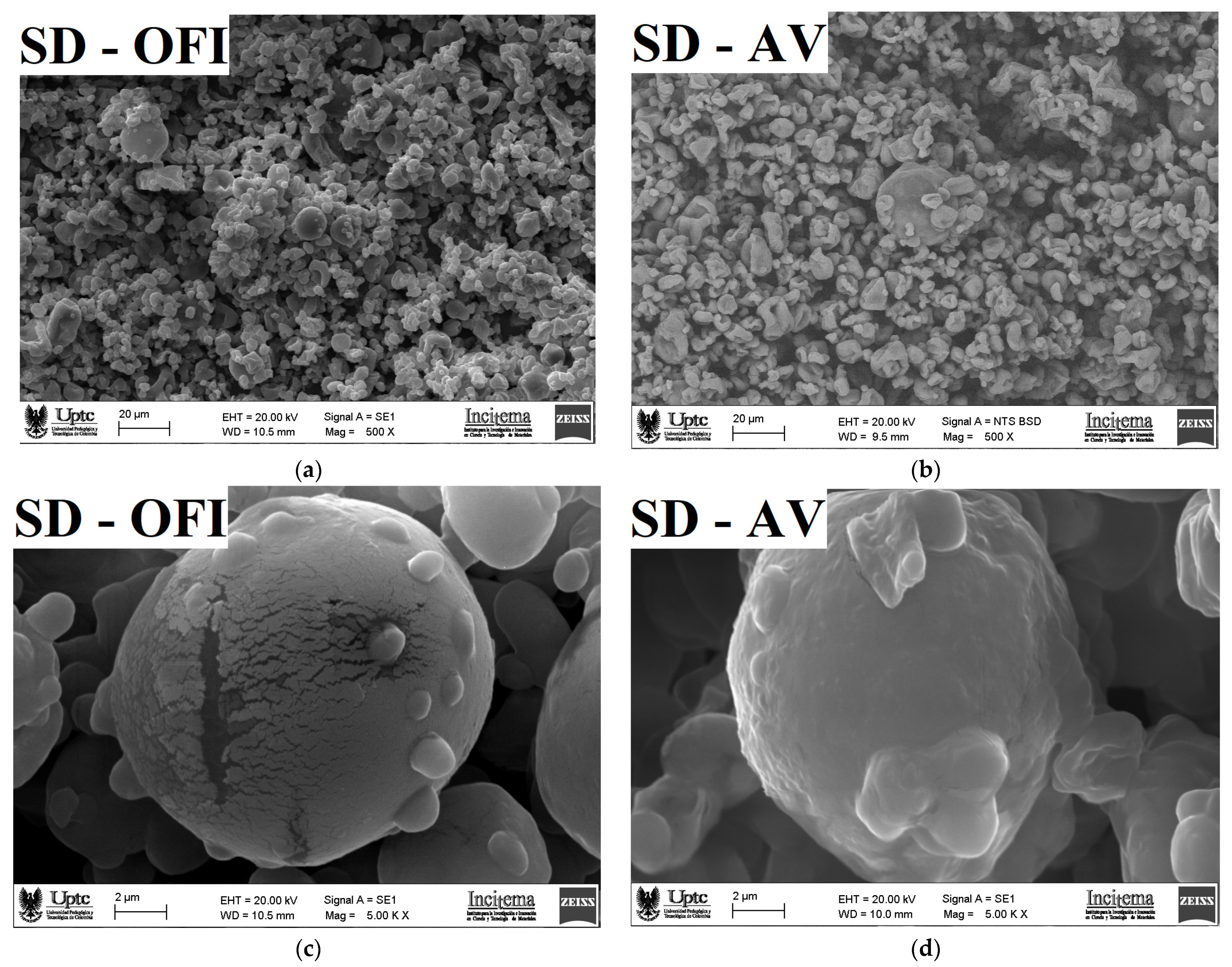 Polymers 14 00310 g004