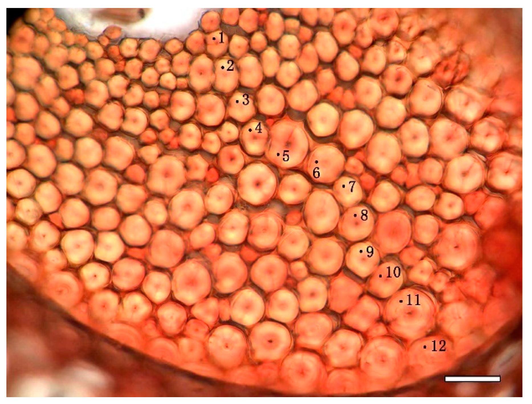 Polymers 14 00312 g001