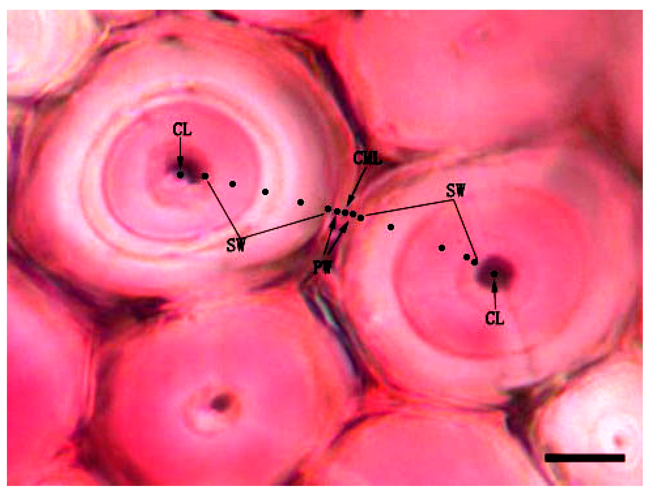 Polymers 14 00312 g002