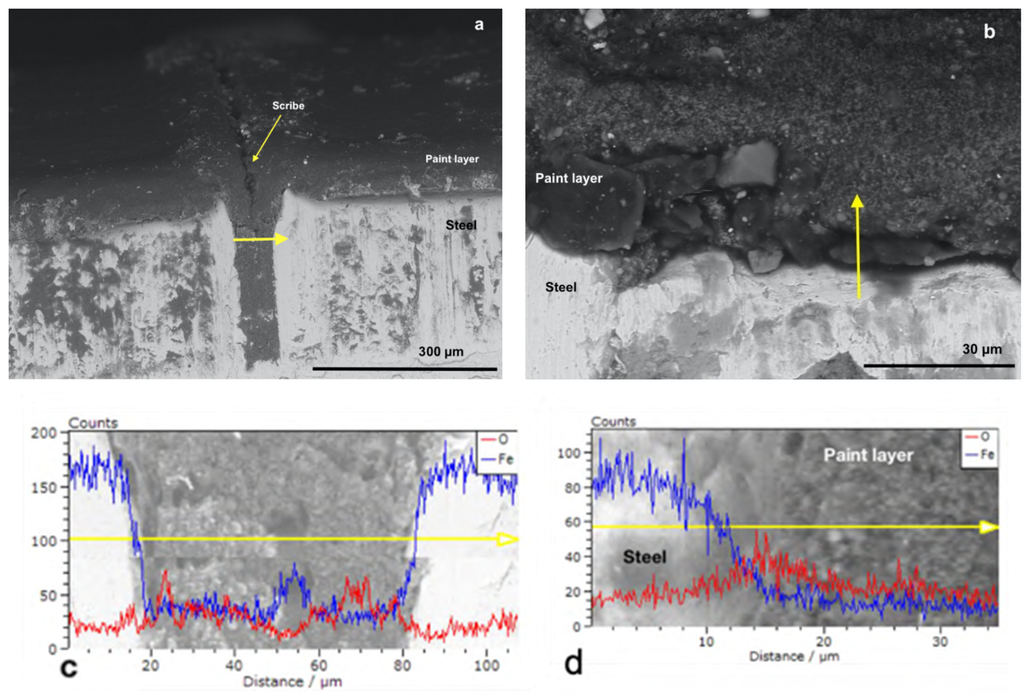 Polymers 14 00316 g004