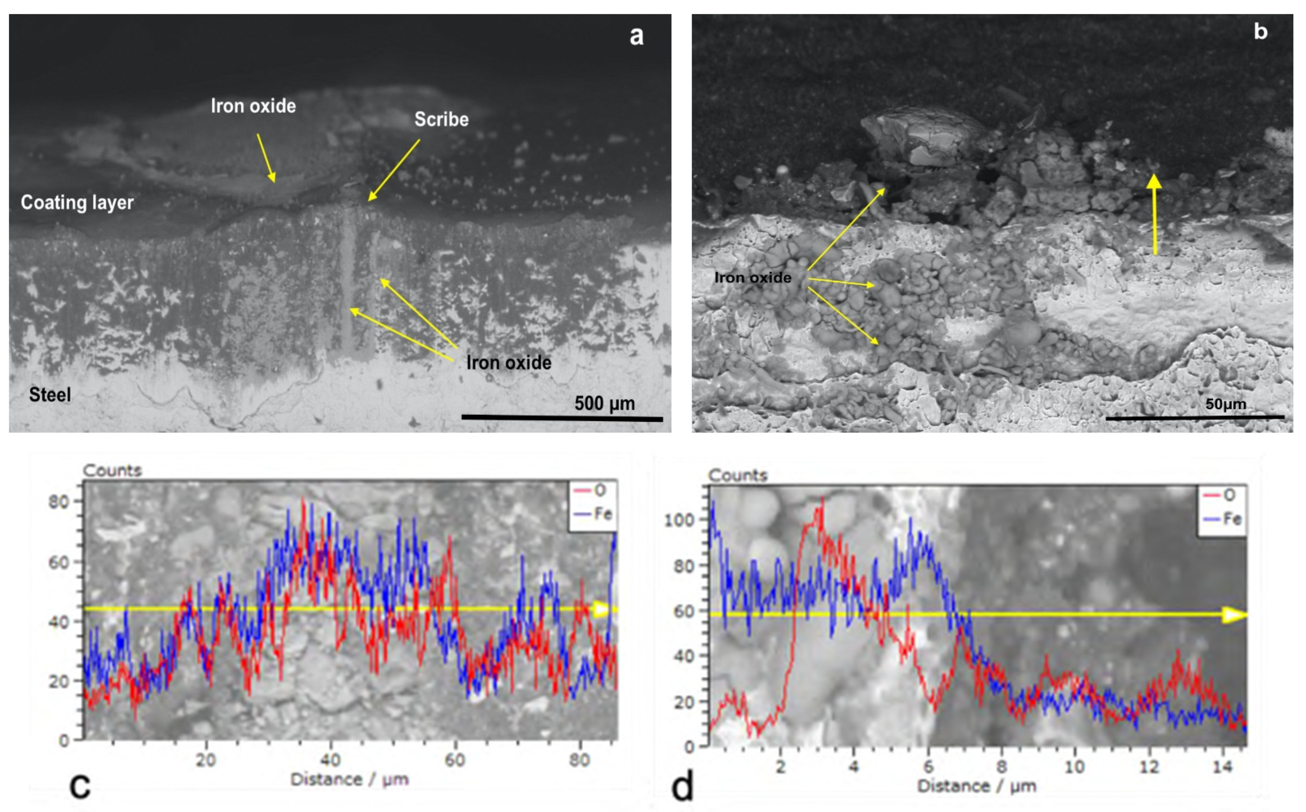 Polymers 14 00316 g006