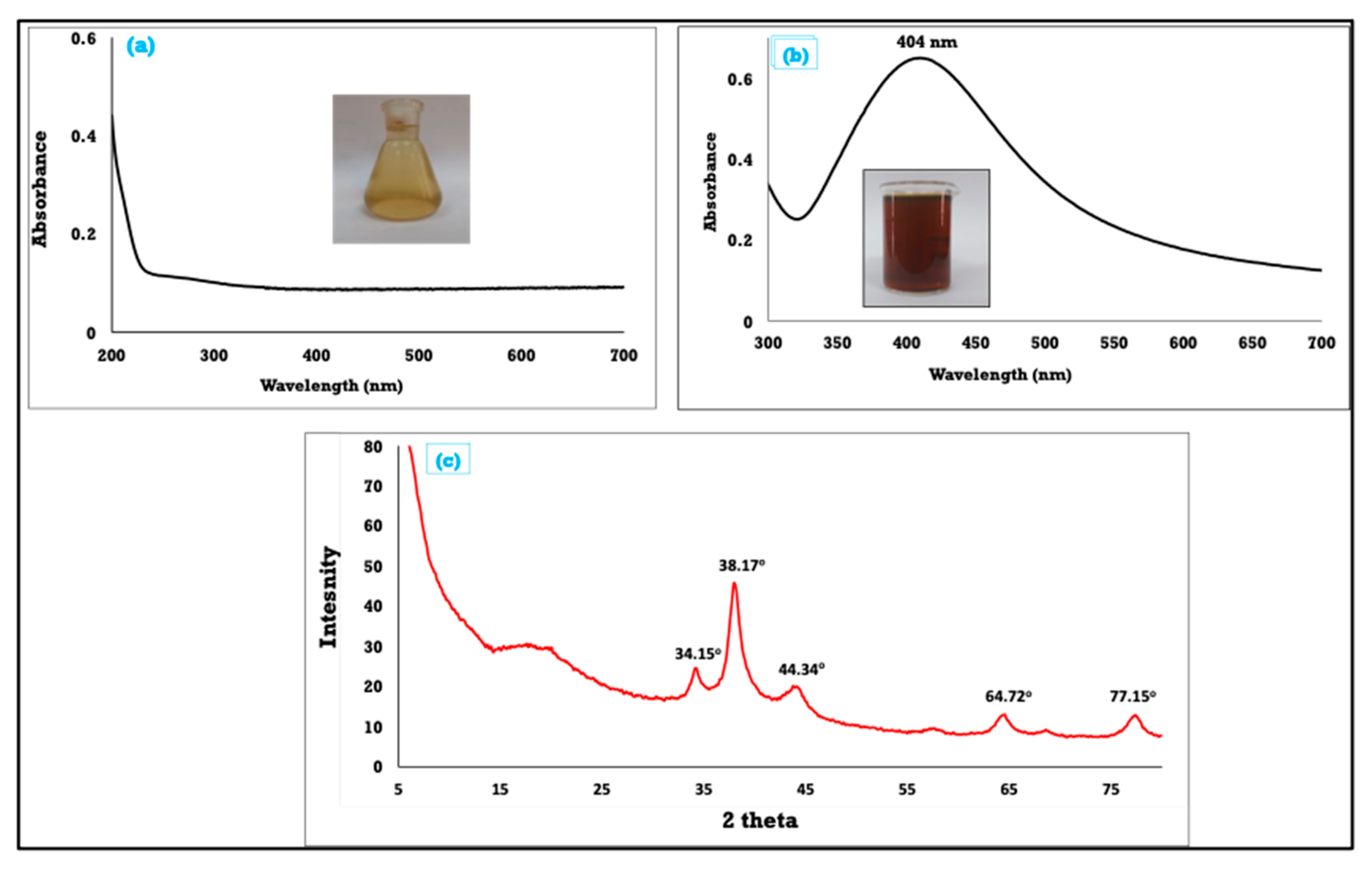 Polymers 14 00318 g001