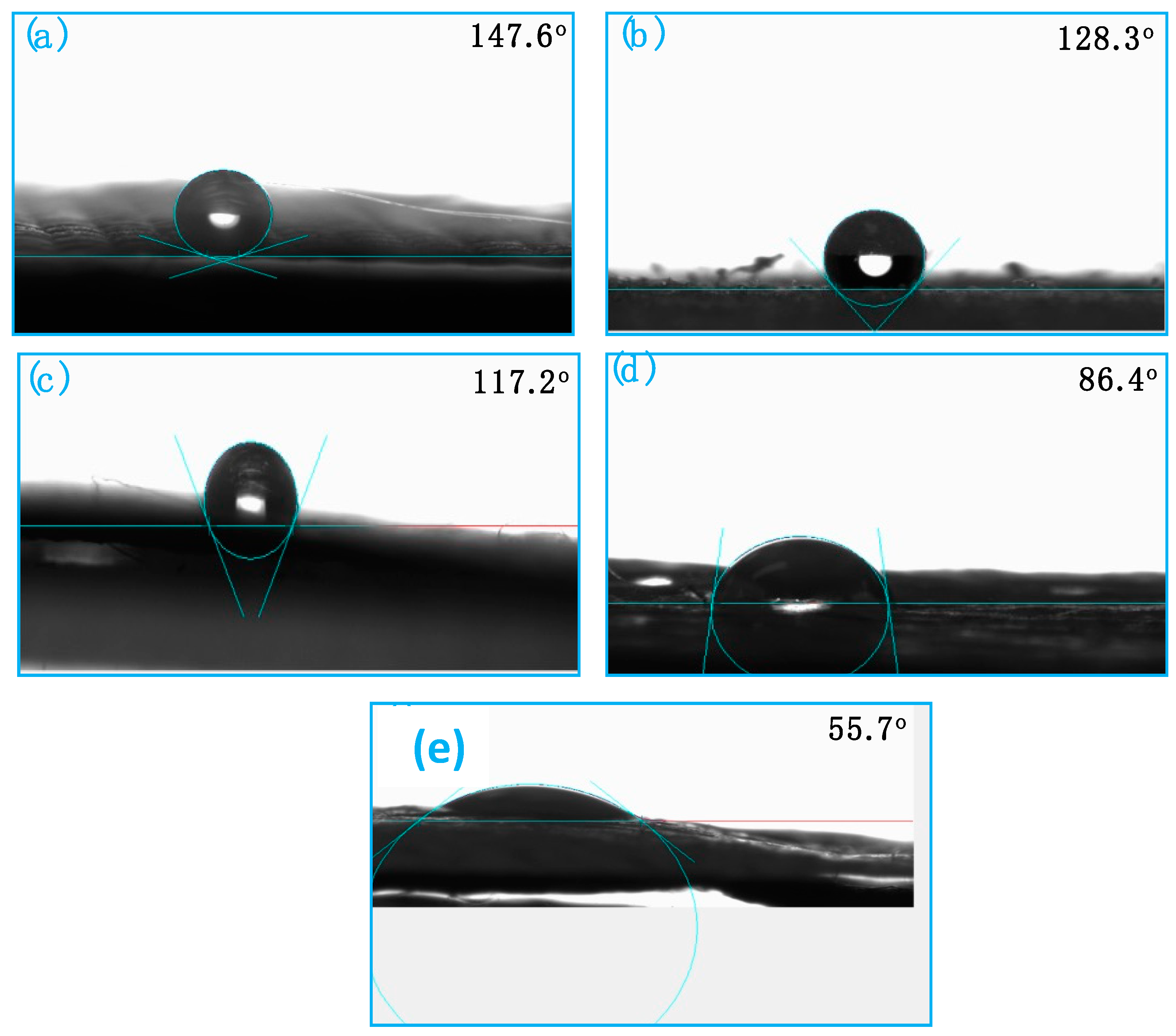 Polymers 14 00318 g006
