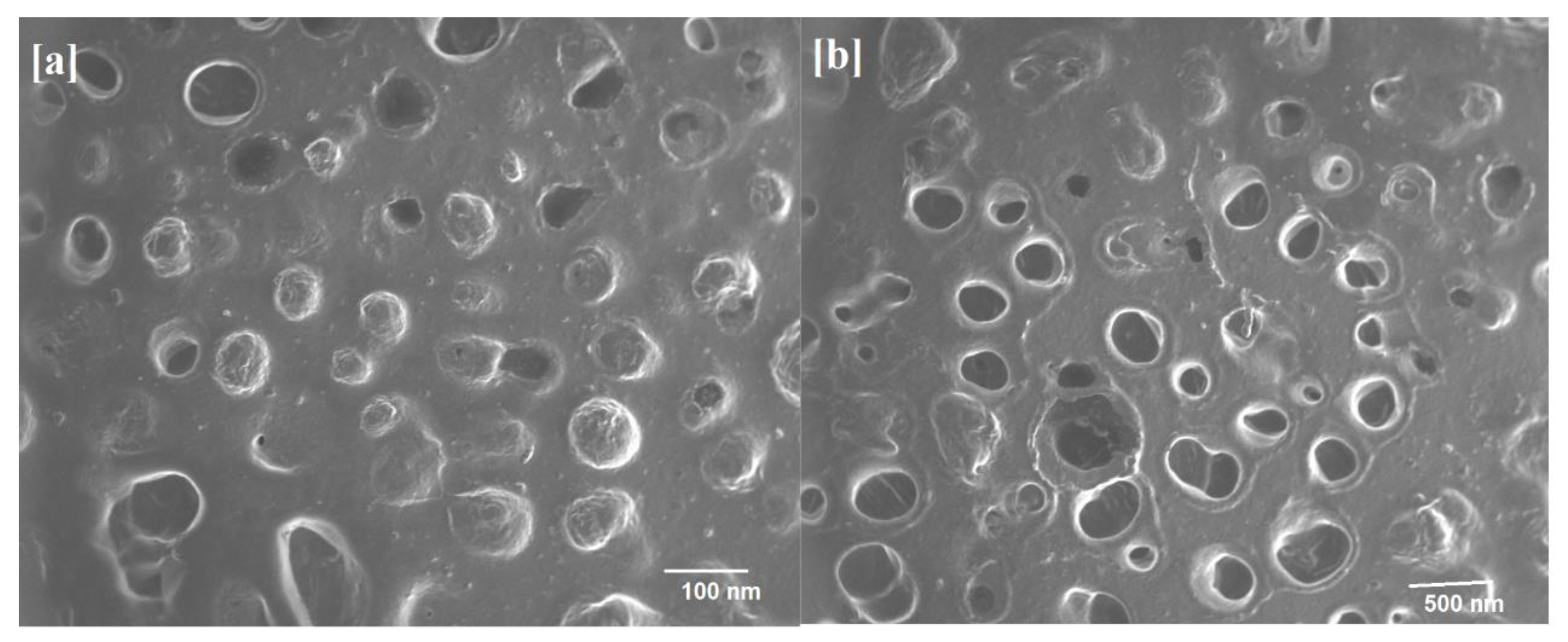 Polymers 14 00325 g001 Polymers 14 00325 g001