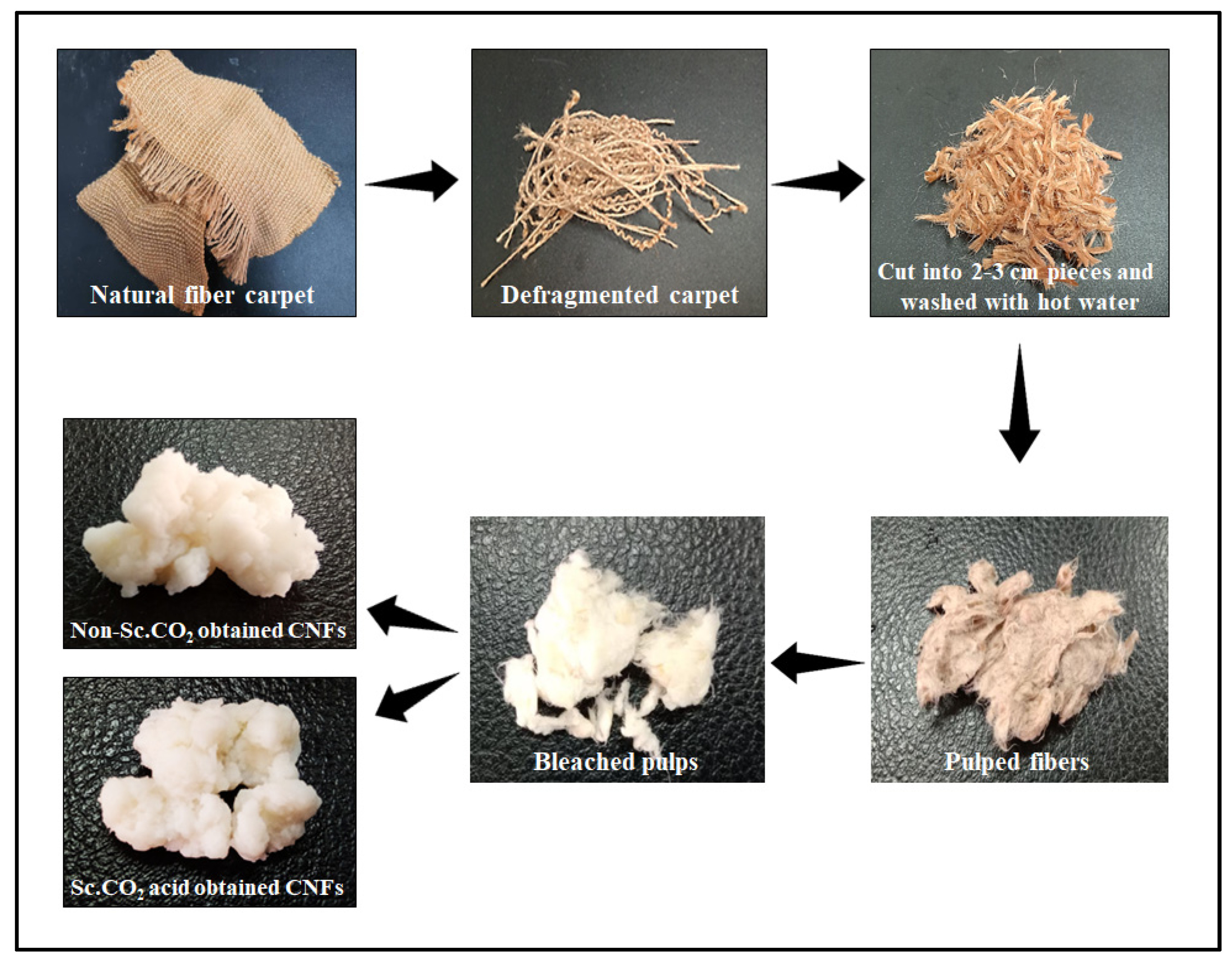 Polymers 14 00326 g001