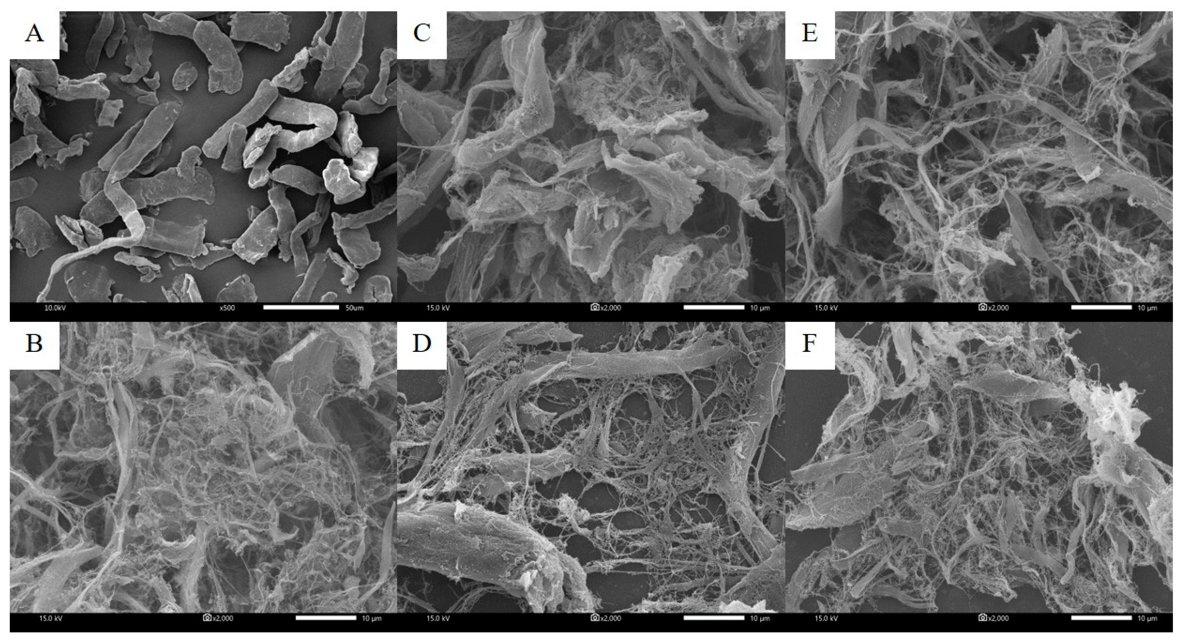 Polymers 14 00327 g002