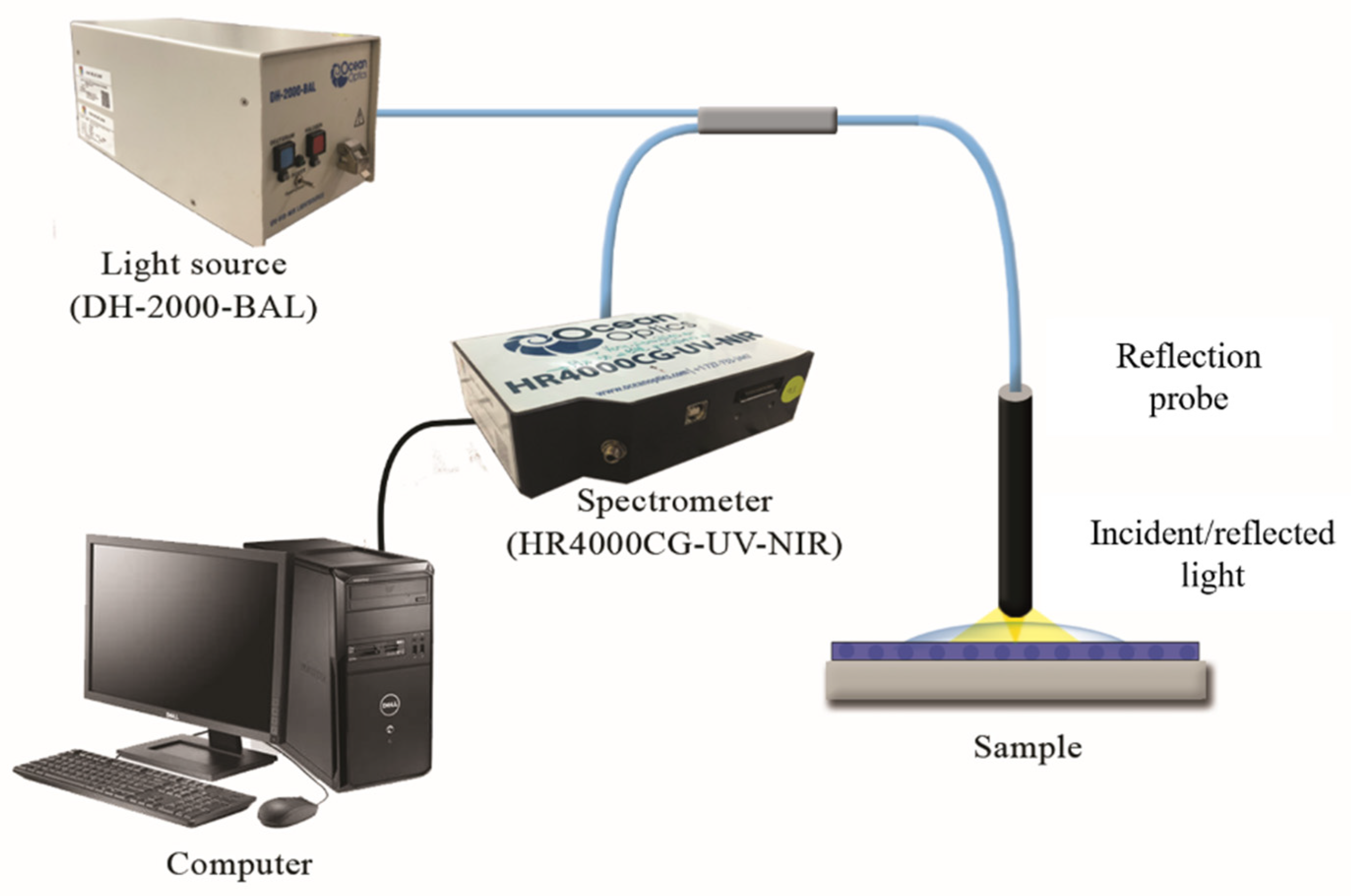 Polymers 14 00329 g002 550