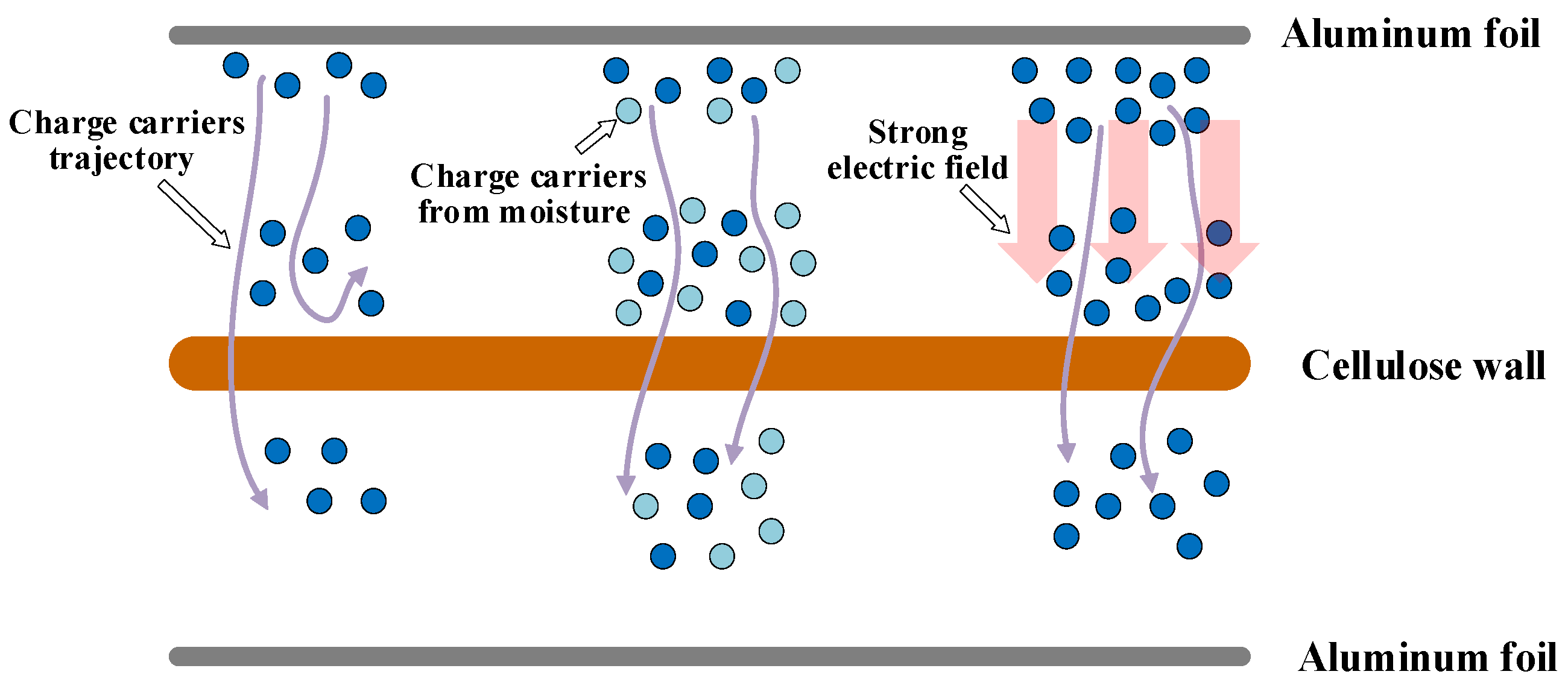 Polymers 14 00336 g012