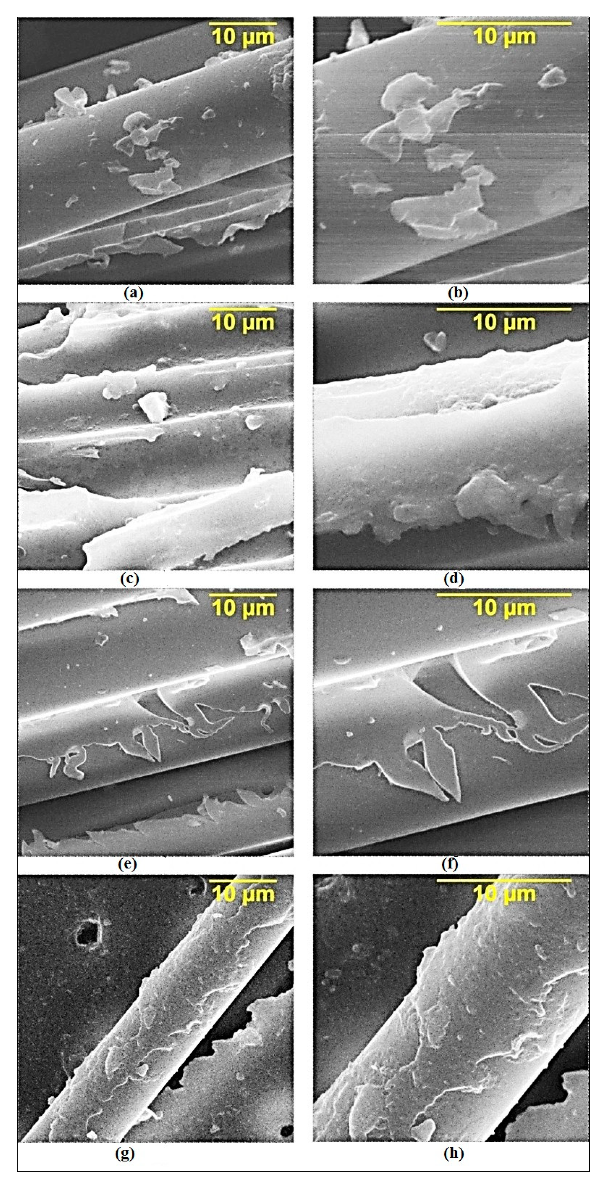 Polymers 14 00338 g005