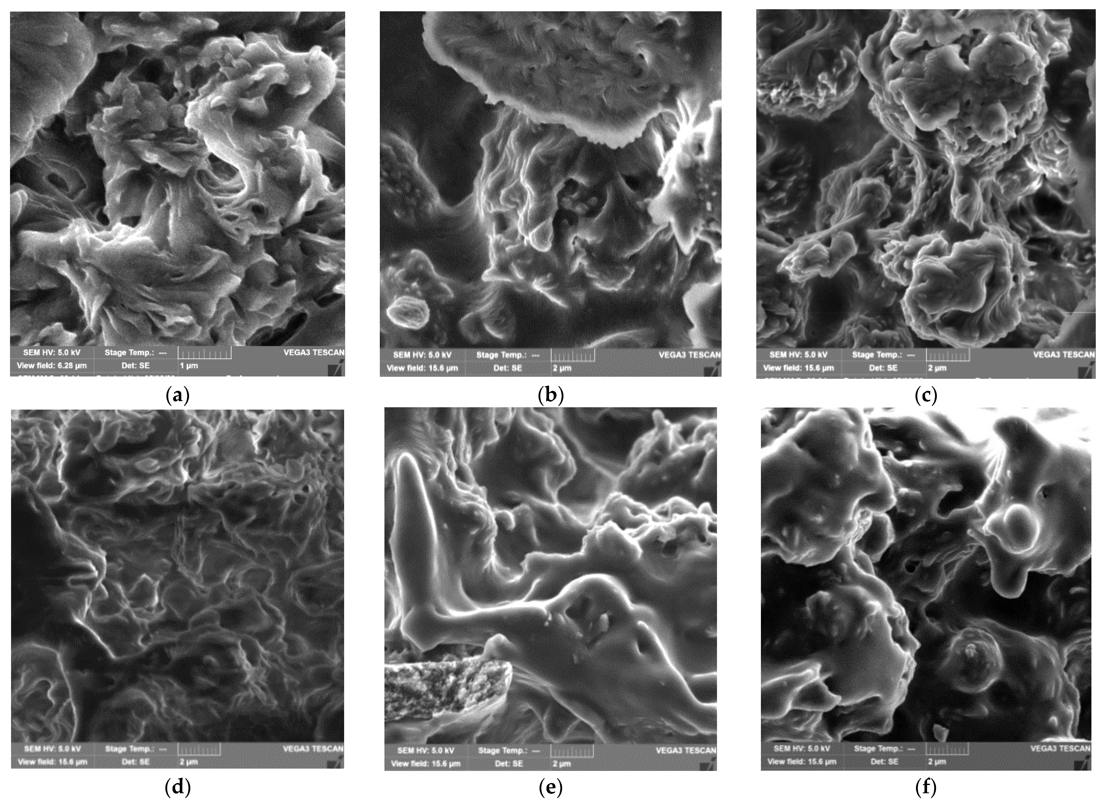 Polymers 14 00340 g002