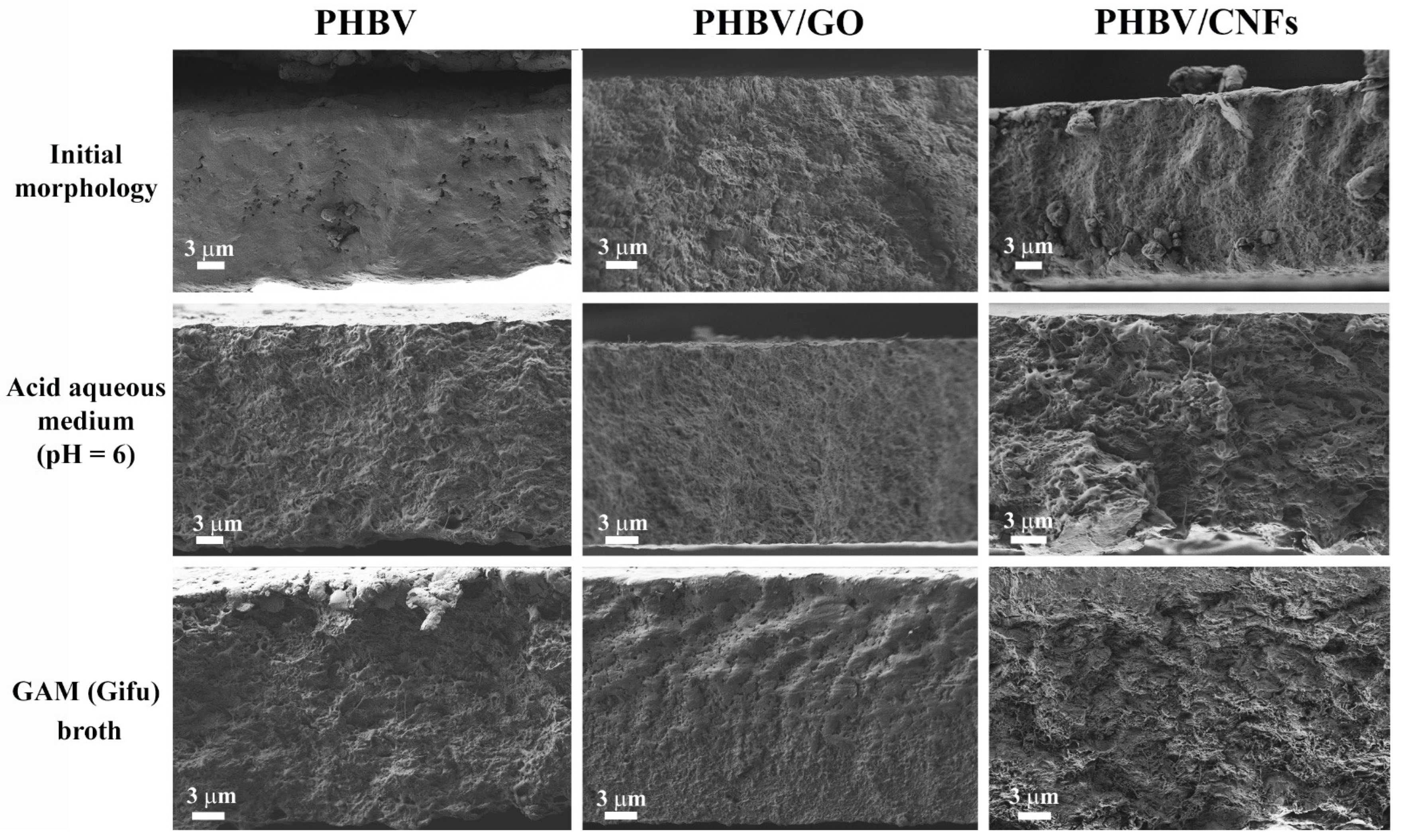 Polymers 14 00348 g003 550