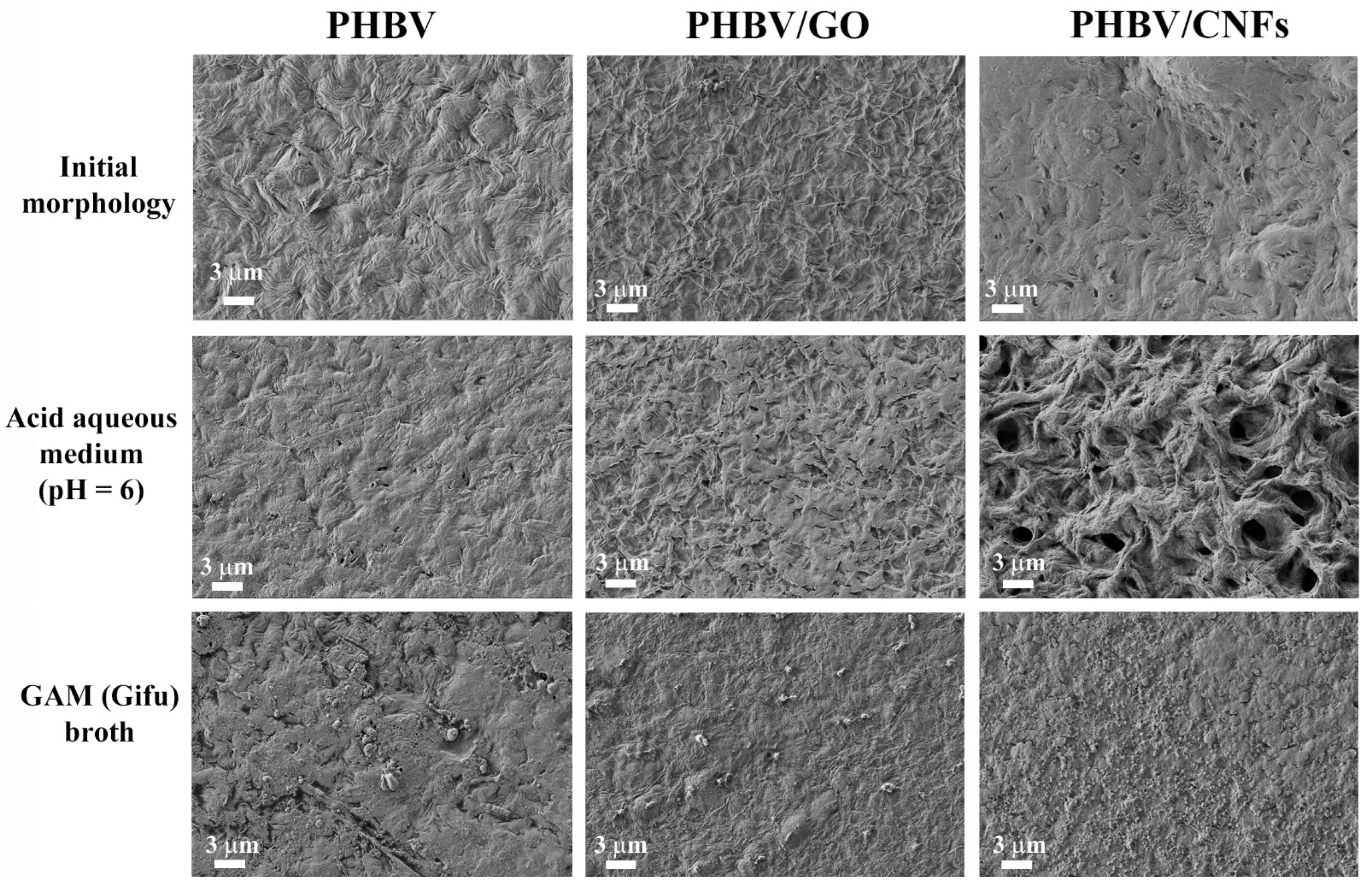 Polymers 14 00348 g004 550